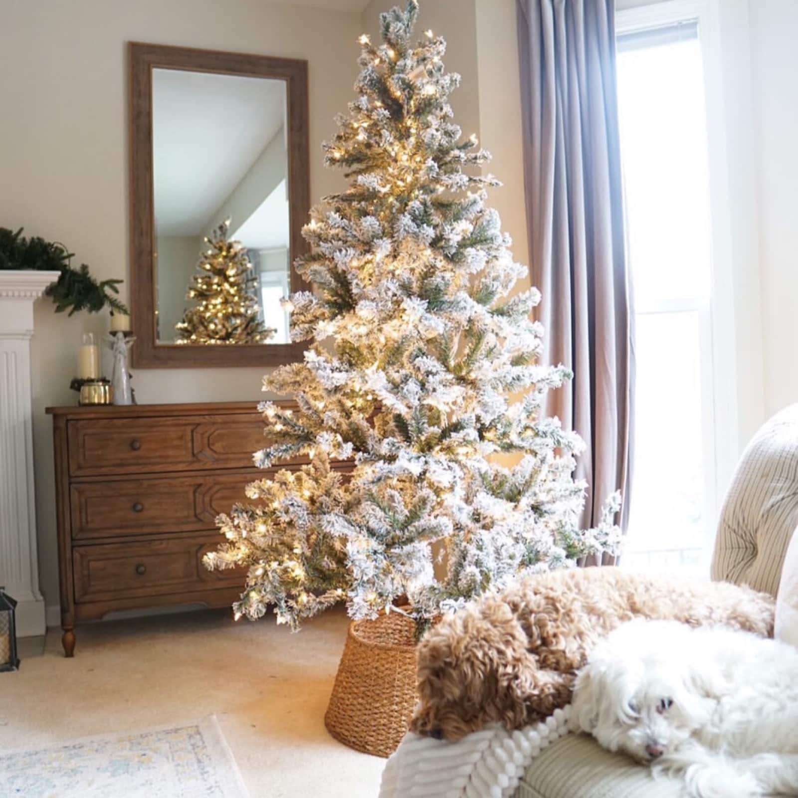 7ft. Pre-Lit Flocked Balsam Pine Artificial Christmas Tree, Clear Lights