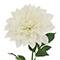 25" Dahlia Real Touch Stem by Ashland®