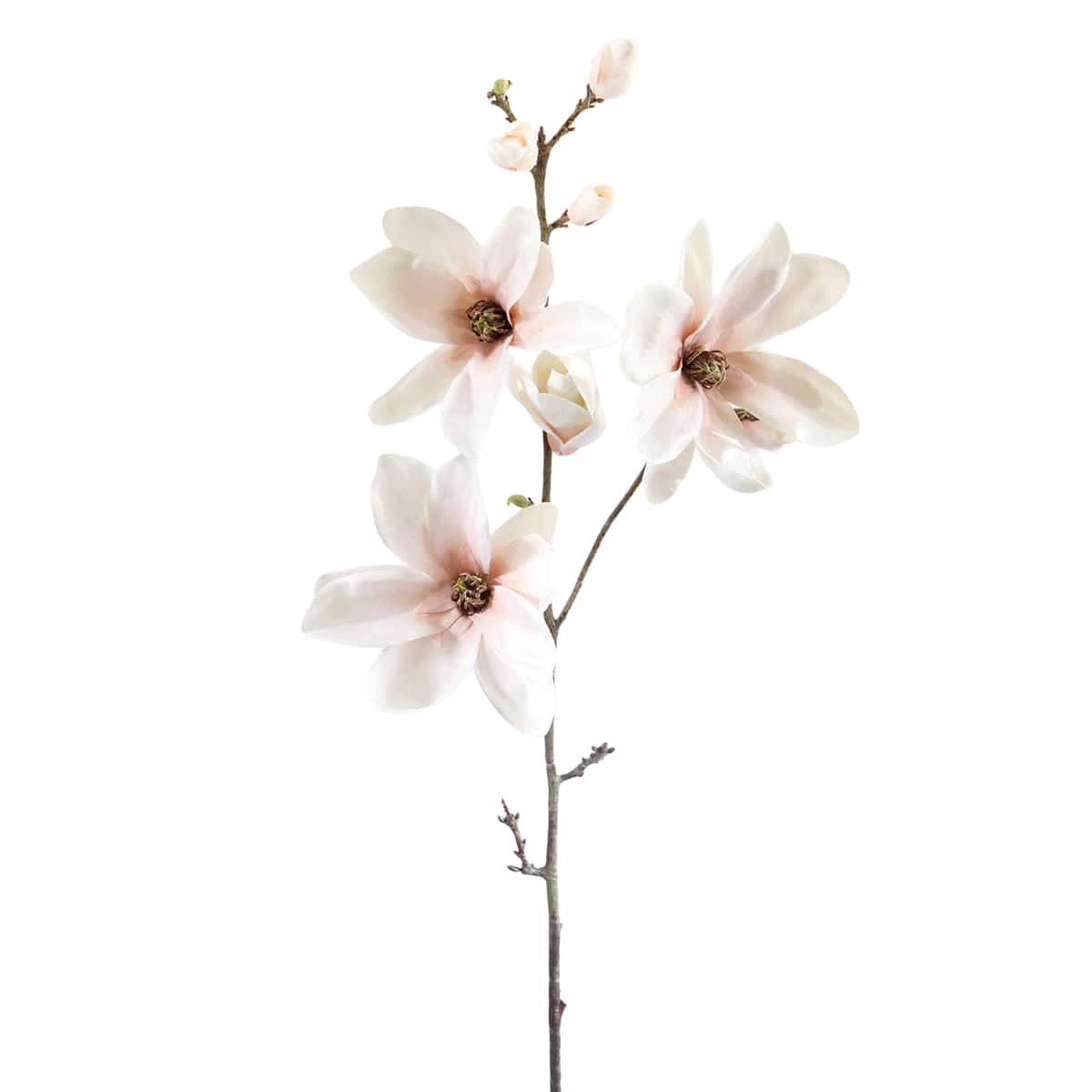 Prestige Botanicals 35" Artificial Blush Magnolia Blossom Branch Stem