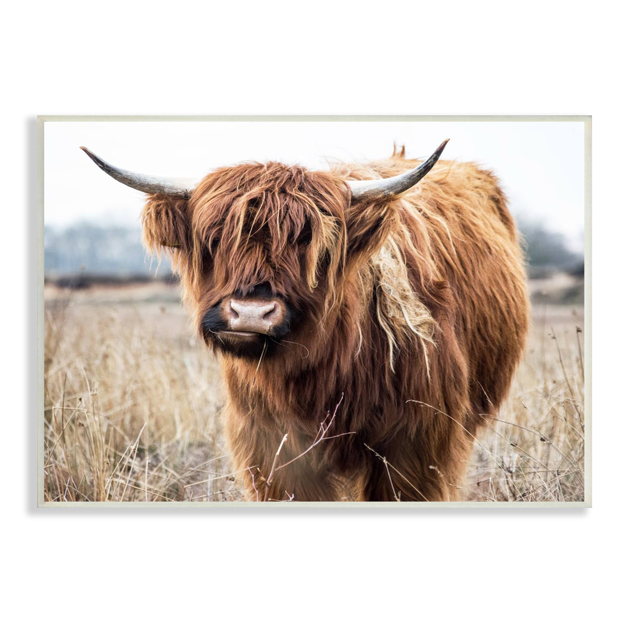 Stupell Industries Grazing Longhorn Cattle Farmland Animal Portrait Wall Plaque Art