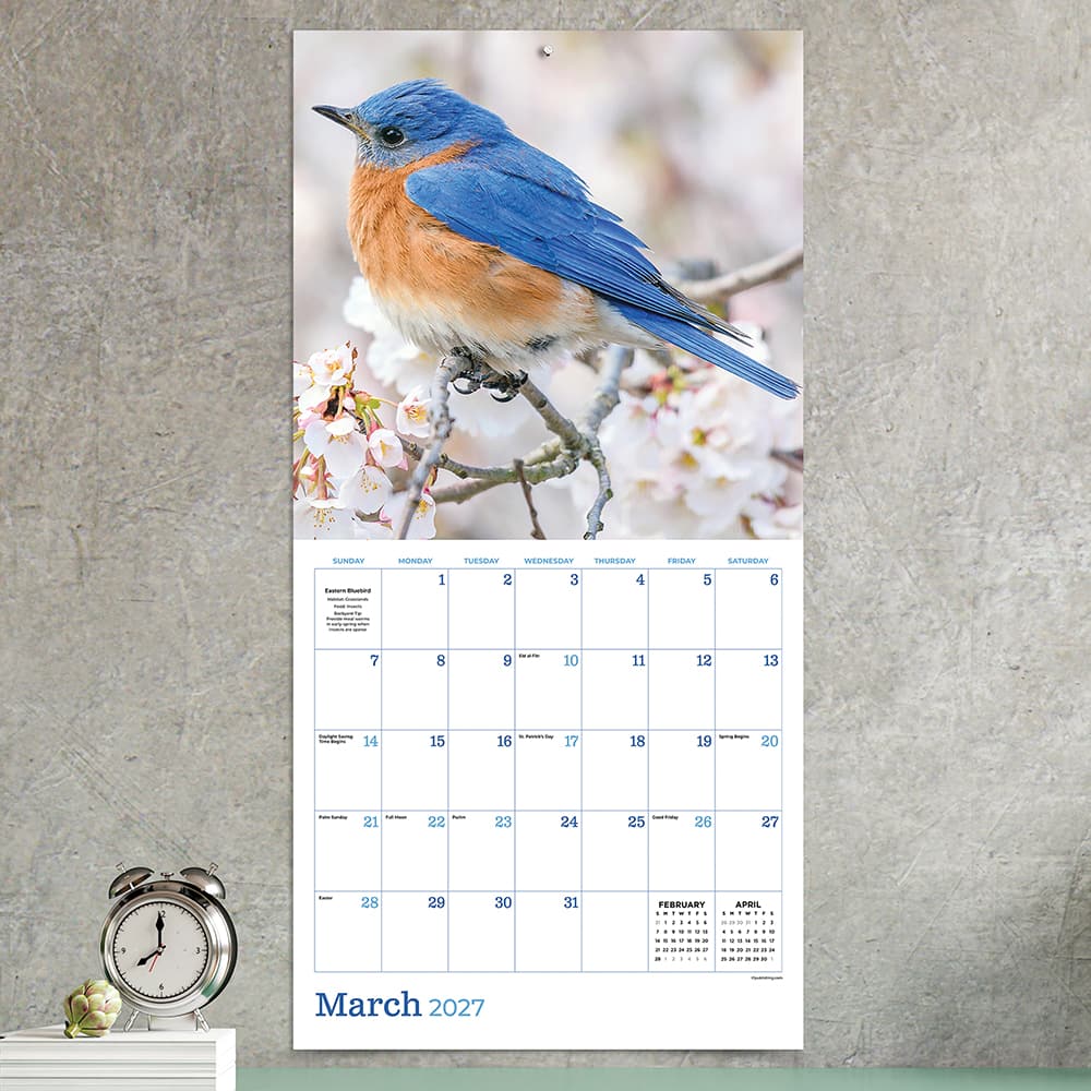 2027 Backyard Birds Wall Calendar