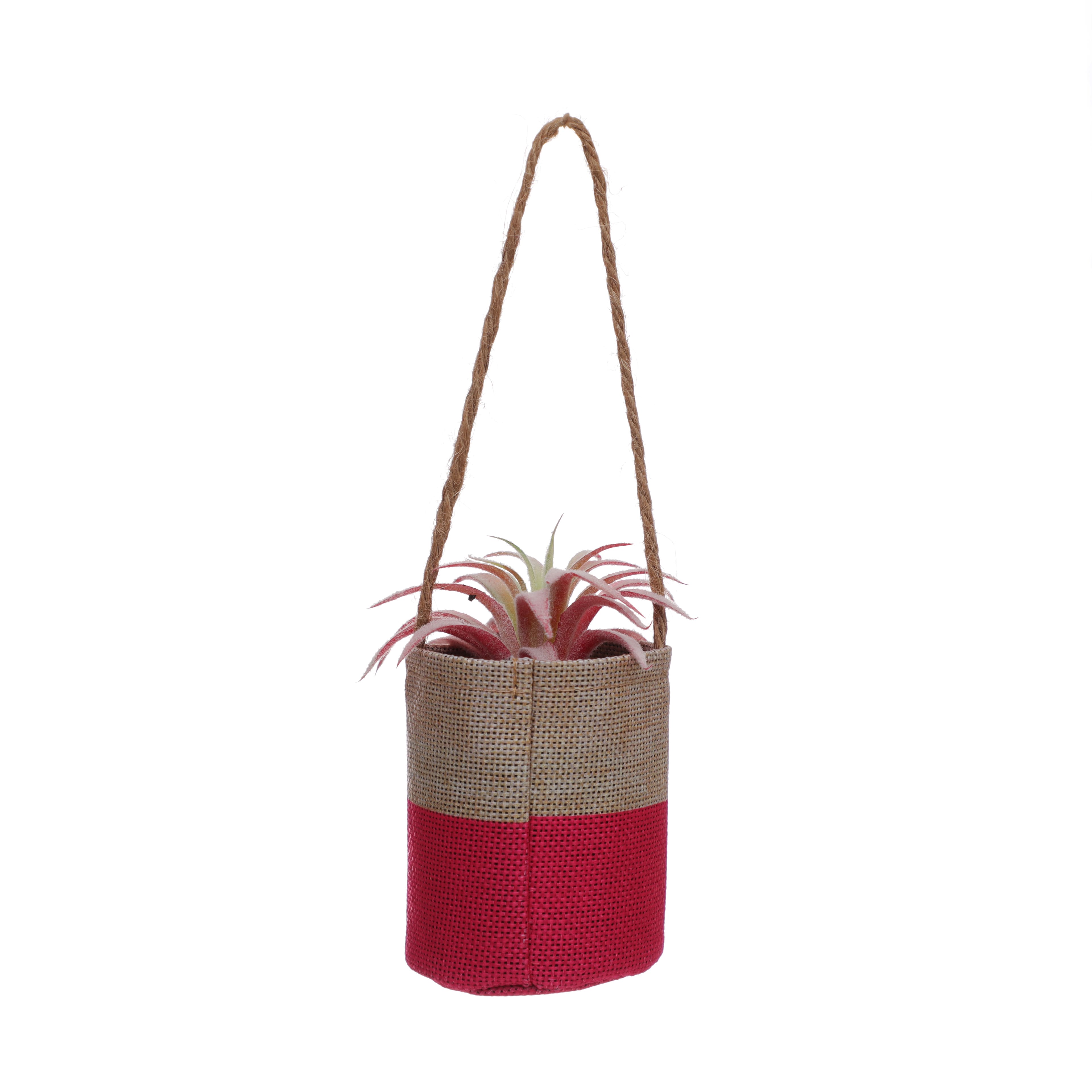 6" Tilandsia in Hanging Pink Planter by Ashland®