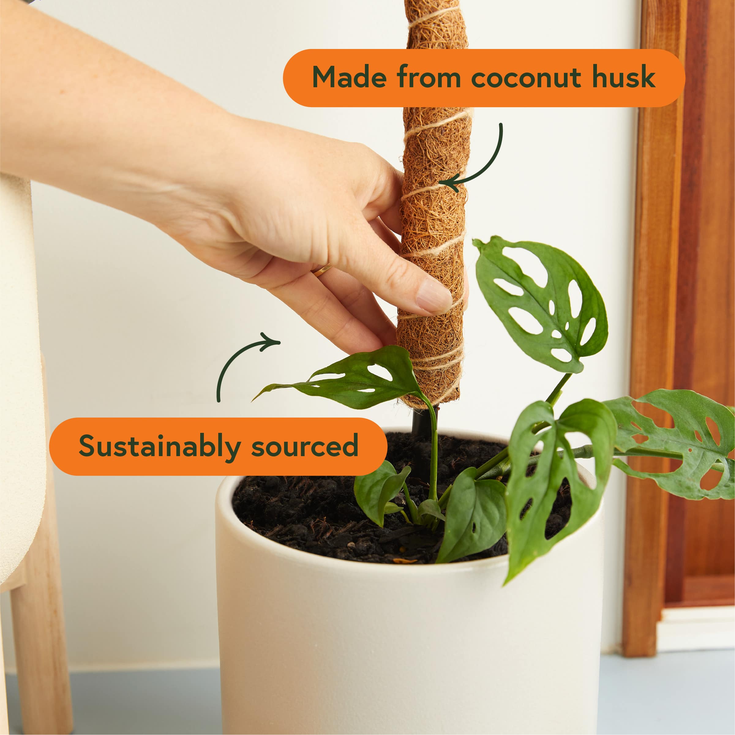 We The Wild™ 16" Coco Climber Bendable Extendable Grow Pole for Houseplants