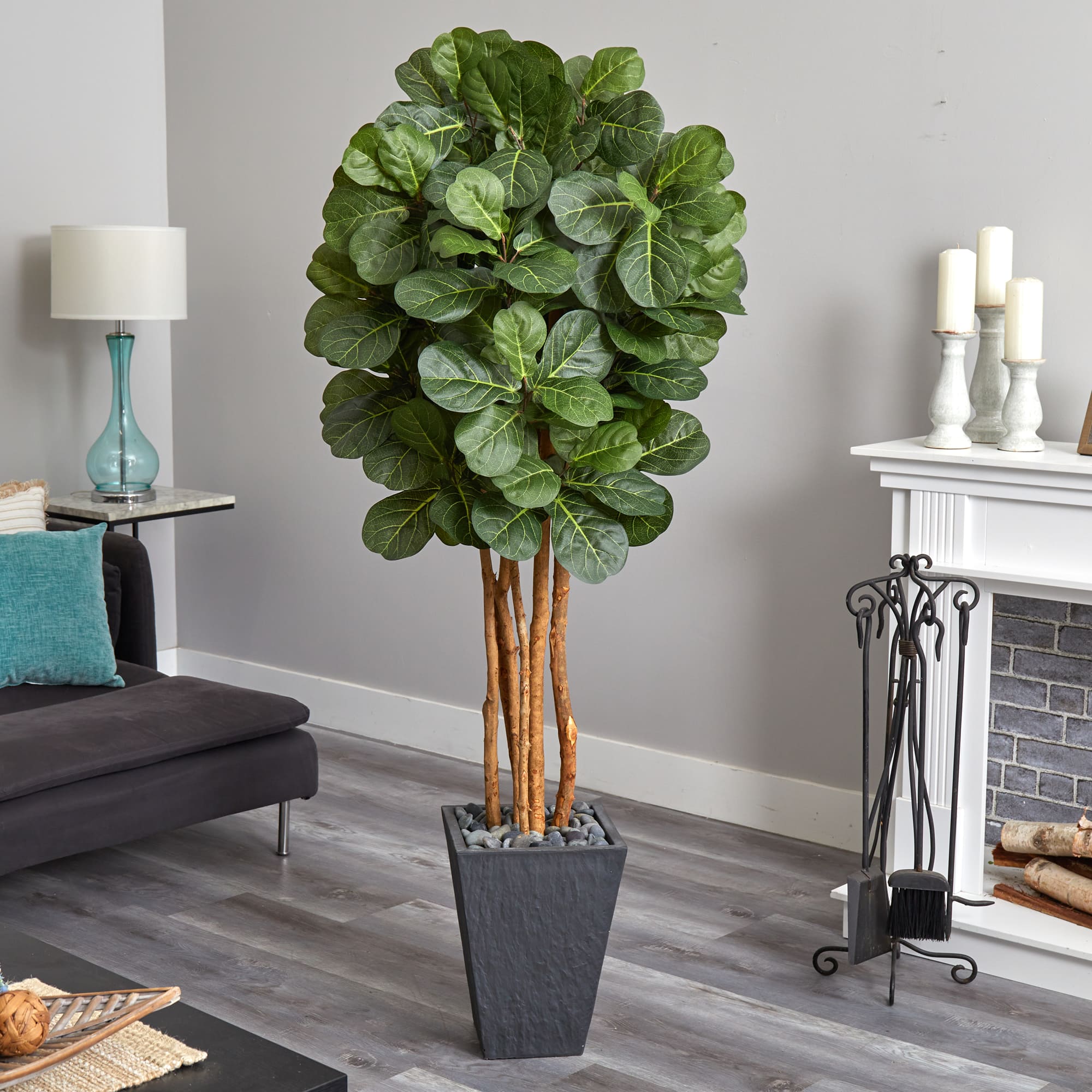 5.5ft. Fiddle Leaf Tree in Slate Planter