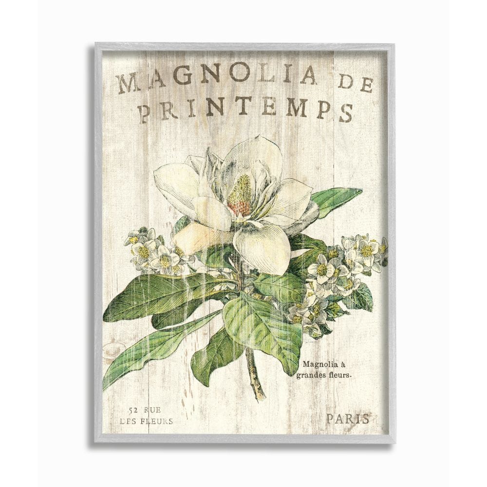 Stupell Industries French Magnolias Wall Art in Gray Frame