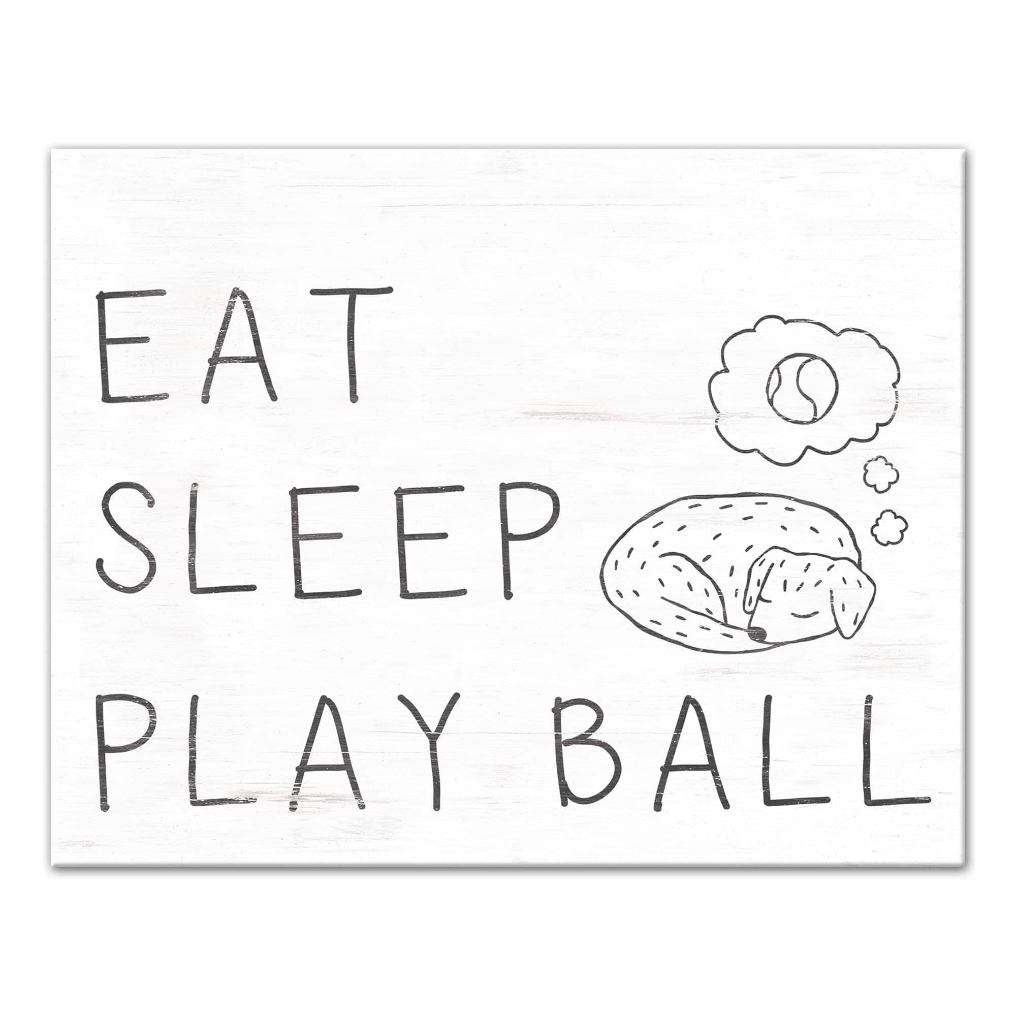 Eat Sleep Play Ball Canvas Wall Art