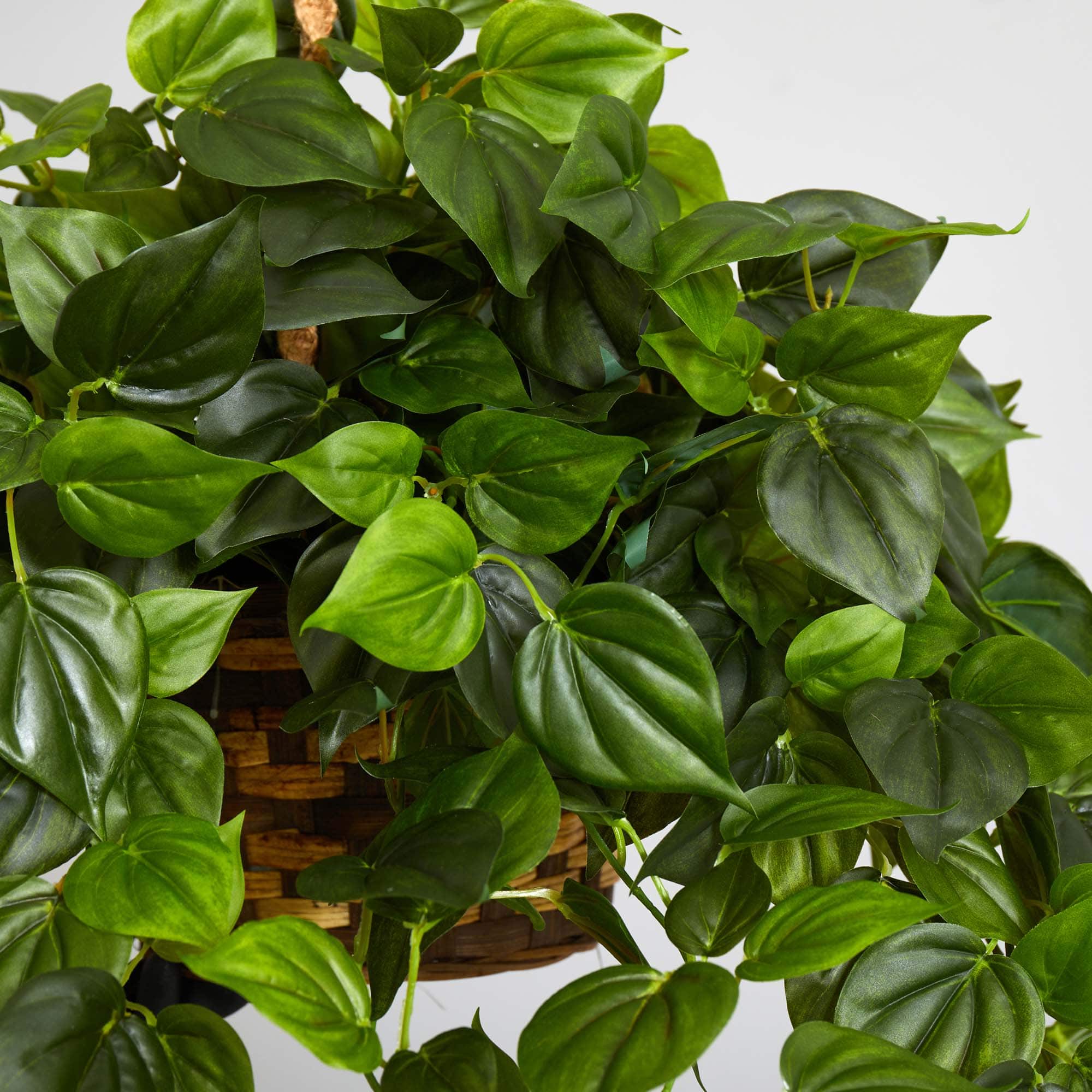 3ft. Philo Plant Hanging Basket