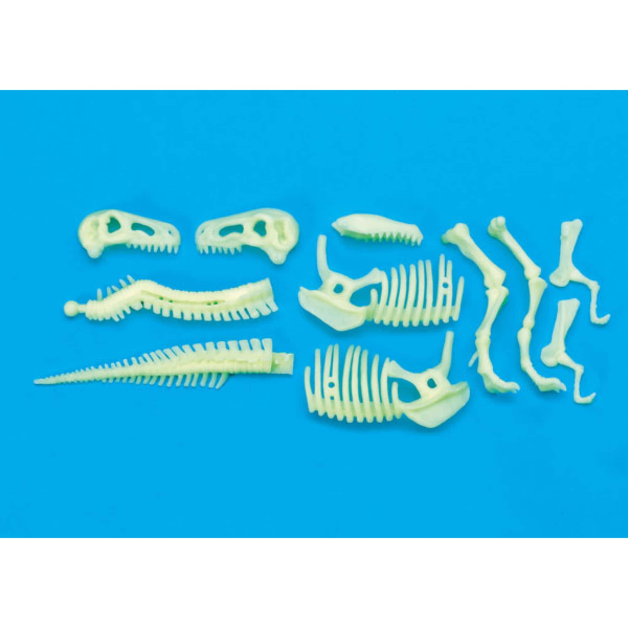 The Original Glowstars® Company Glow-In-The-Dark Dinos T-Rex Skeleton