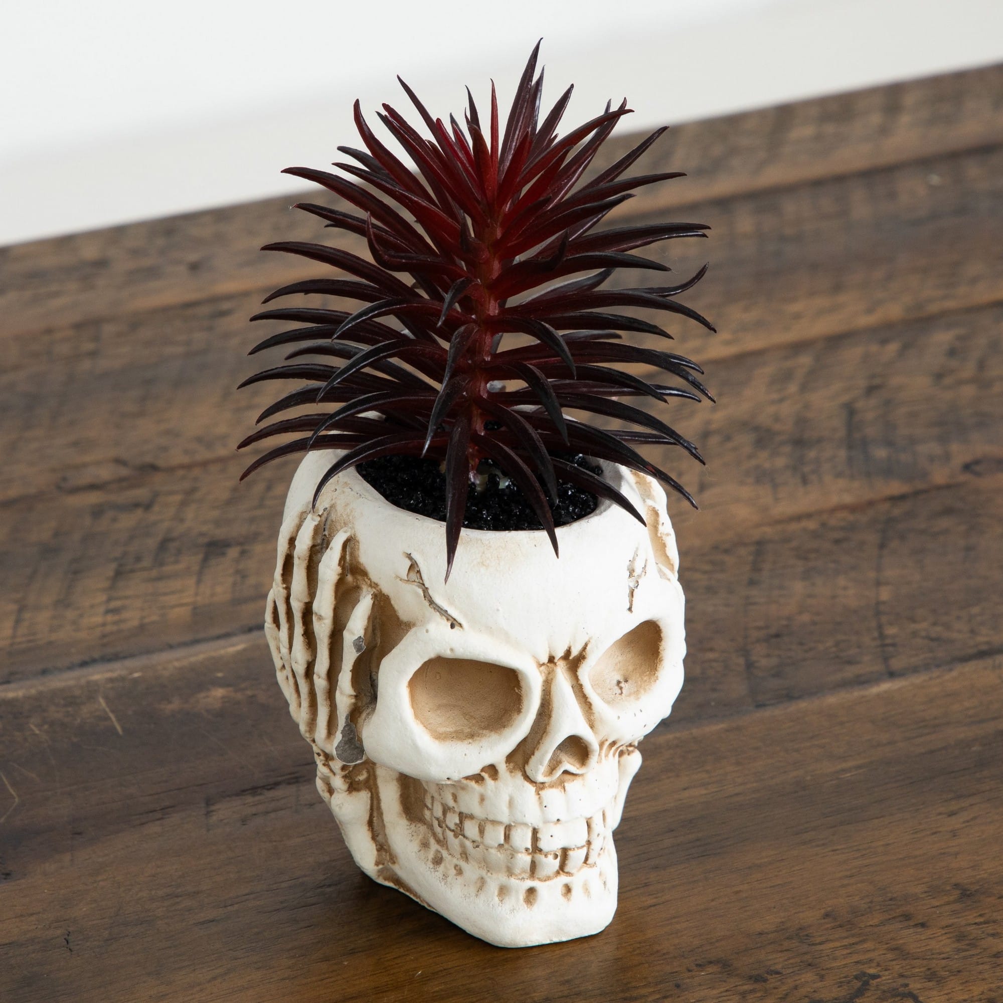 6" Artificial Halloween Speak, Hear, See No Evil Succulent Plant Skull Décor Set