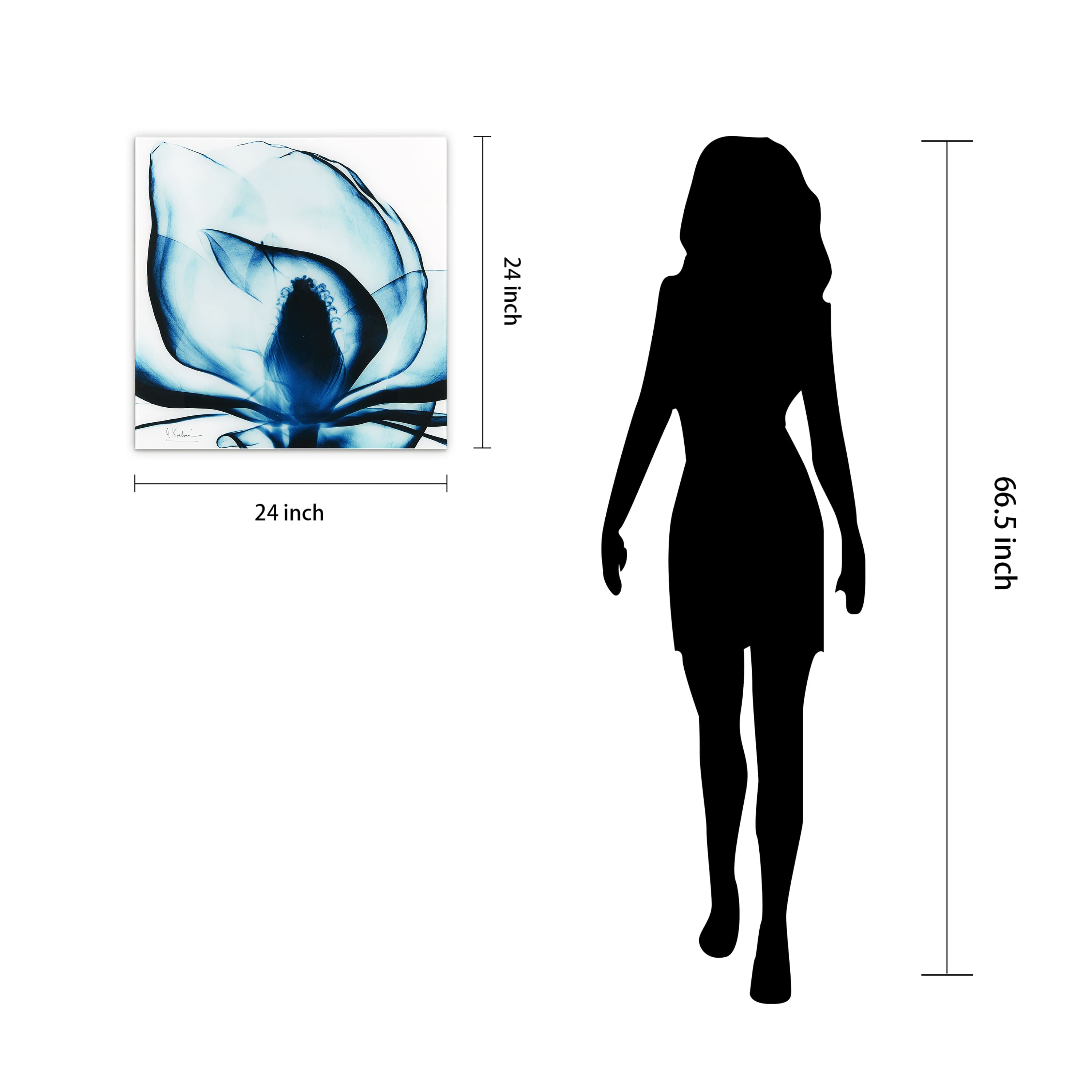 Empire Art Direct 24" x 24" Blue Magnolia X-Ray Frameless Free Floating Printed Tempered Glass Wall Art