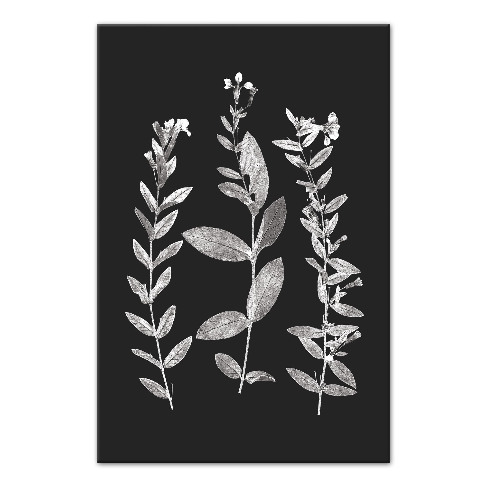 Designs Direct Pressed Flowers Canvas Wall Art