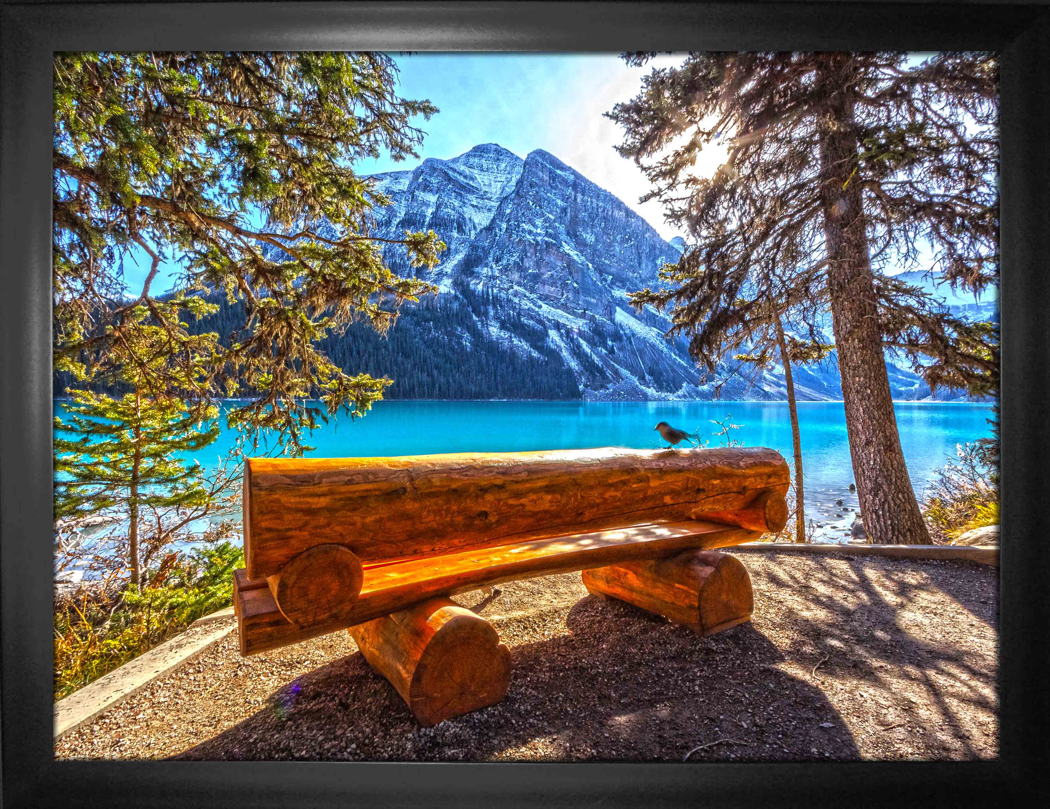 Banff National Park, Canada 24" x 32" Framed Canvas Nature View 35.5" x 27.5"