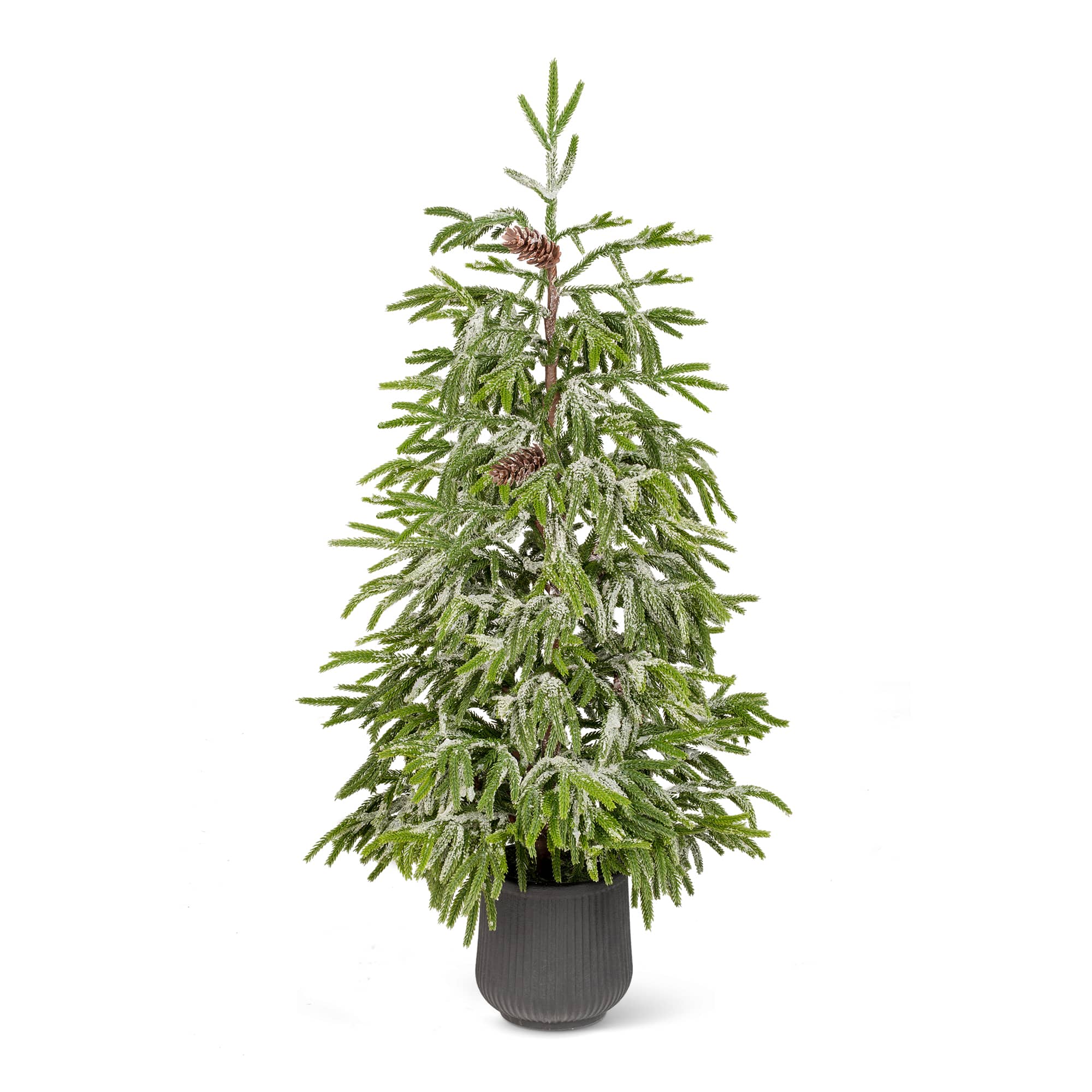 Glitzhome® 4ft. Unlit Frosted Norfolk Pine Christmas Porch Tree with Pinecones