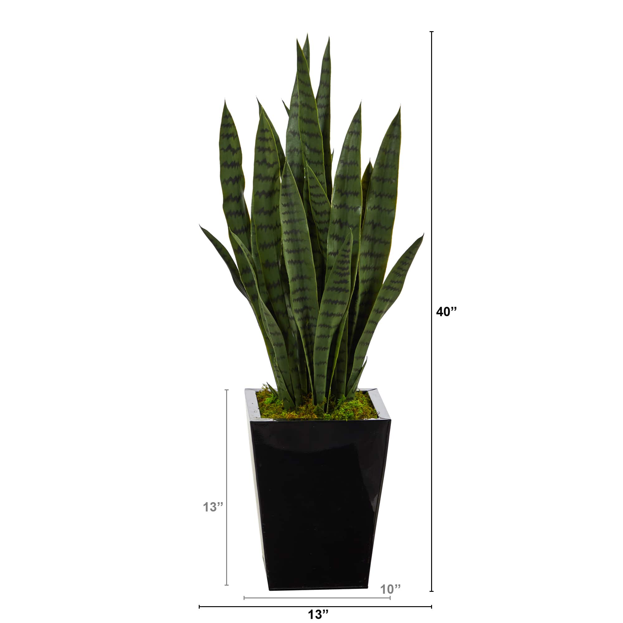 3ft. Snake Plant in Black Metal Planter