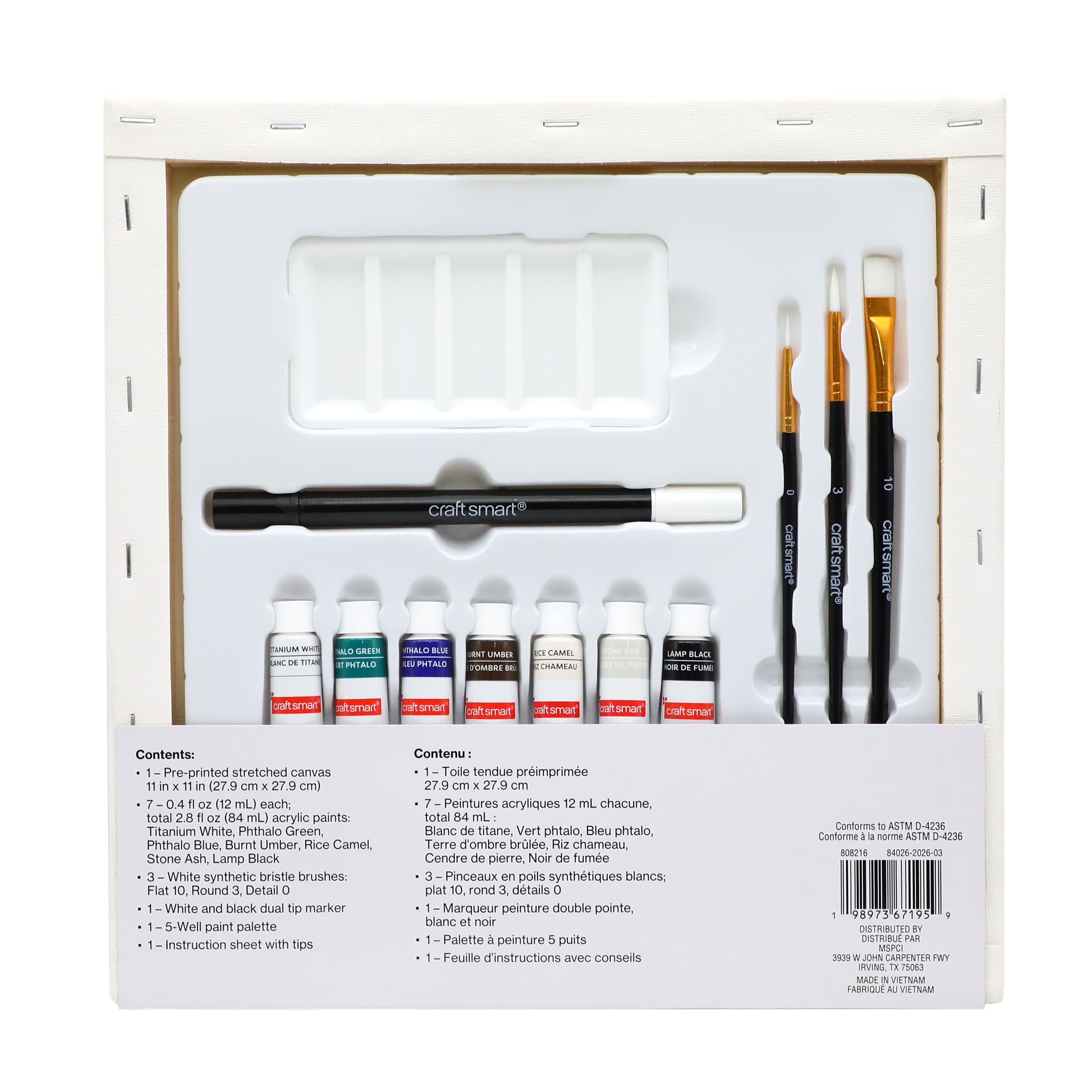 11" x 11" Moon & Bats Canvas Painting Kit by Craft Smart®