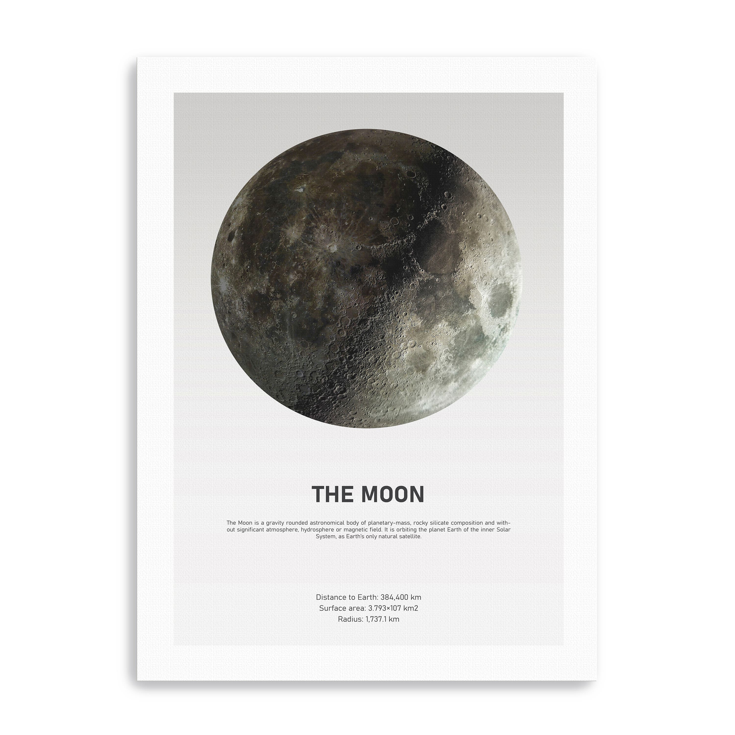 Moon Light Canvas Giclee
