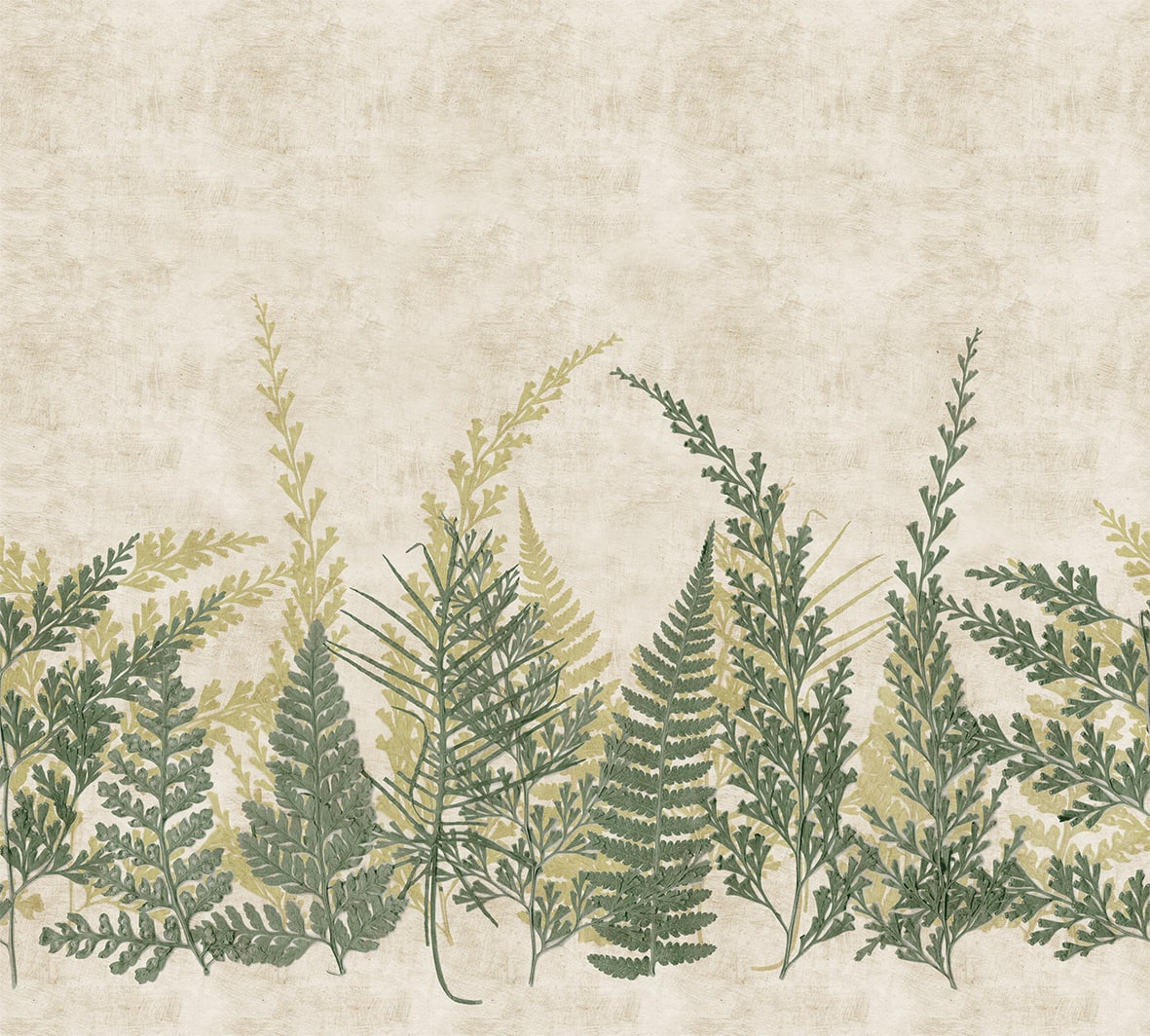 Designs Direct Pressed Ferns Watercress Green Wall Mural