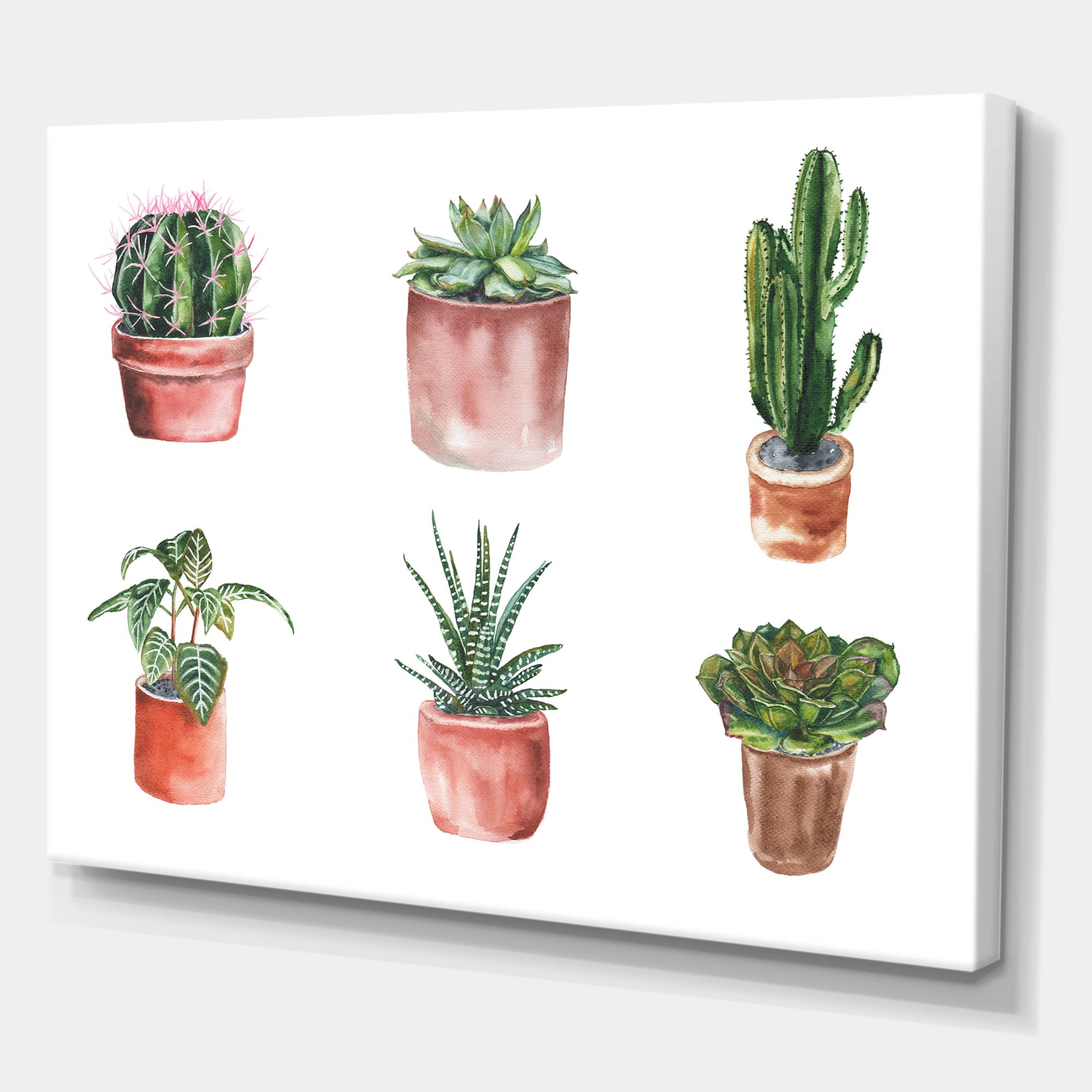 Designart - Flowers In A Pot Cacti and Succulents - Traditional Canvas Wall Art Print