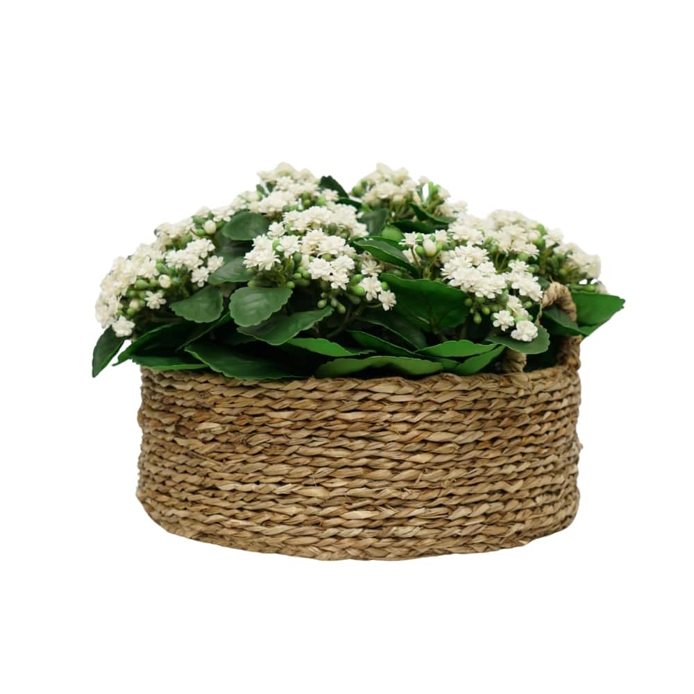 House of Silk Flowers 18" Faux White Kalanchoe in Seagrass Basket Arrangement