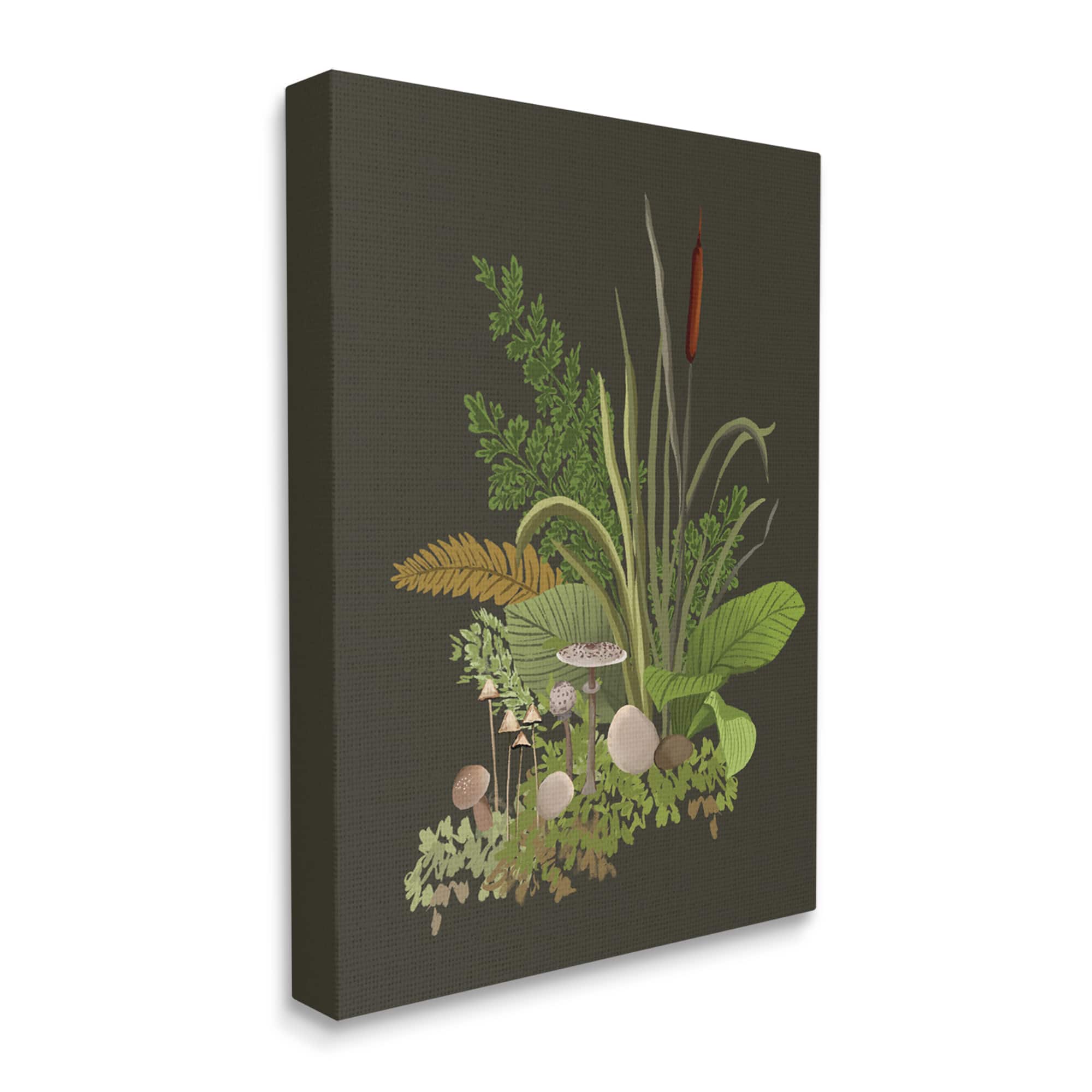 Stupell Industries Natural Forest Floor Mushrooms Ferns Canvas Wall Art