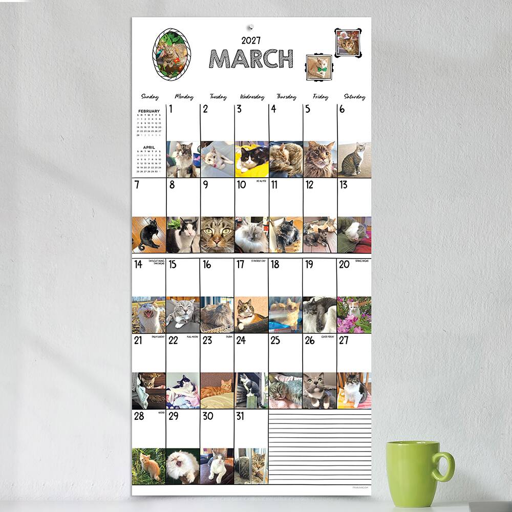 2027 Cat-A-Day Wall Calendar