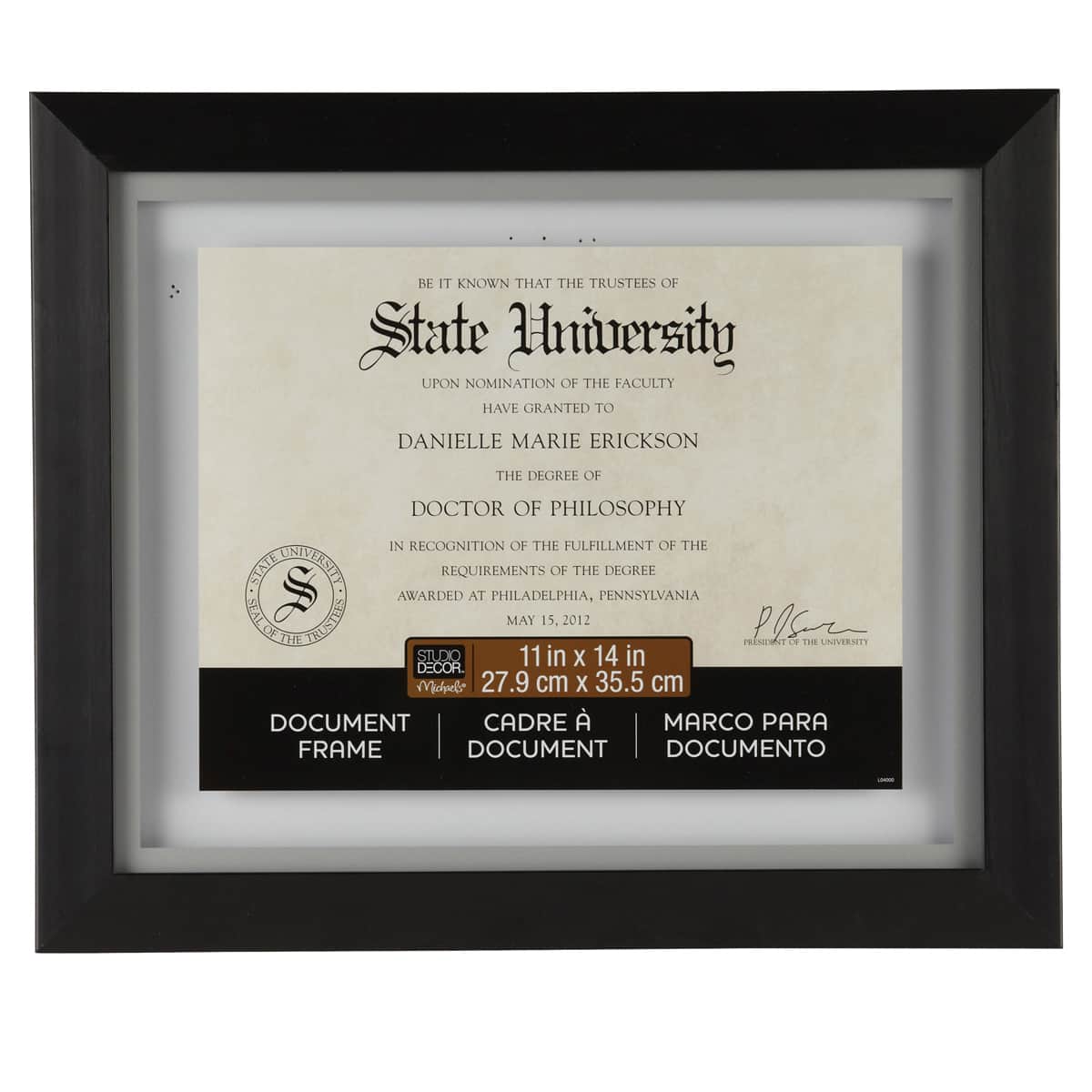 11" x 14" Black Document Float Frame by Studio Décor®
