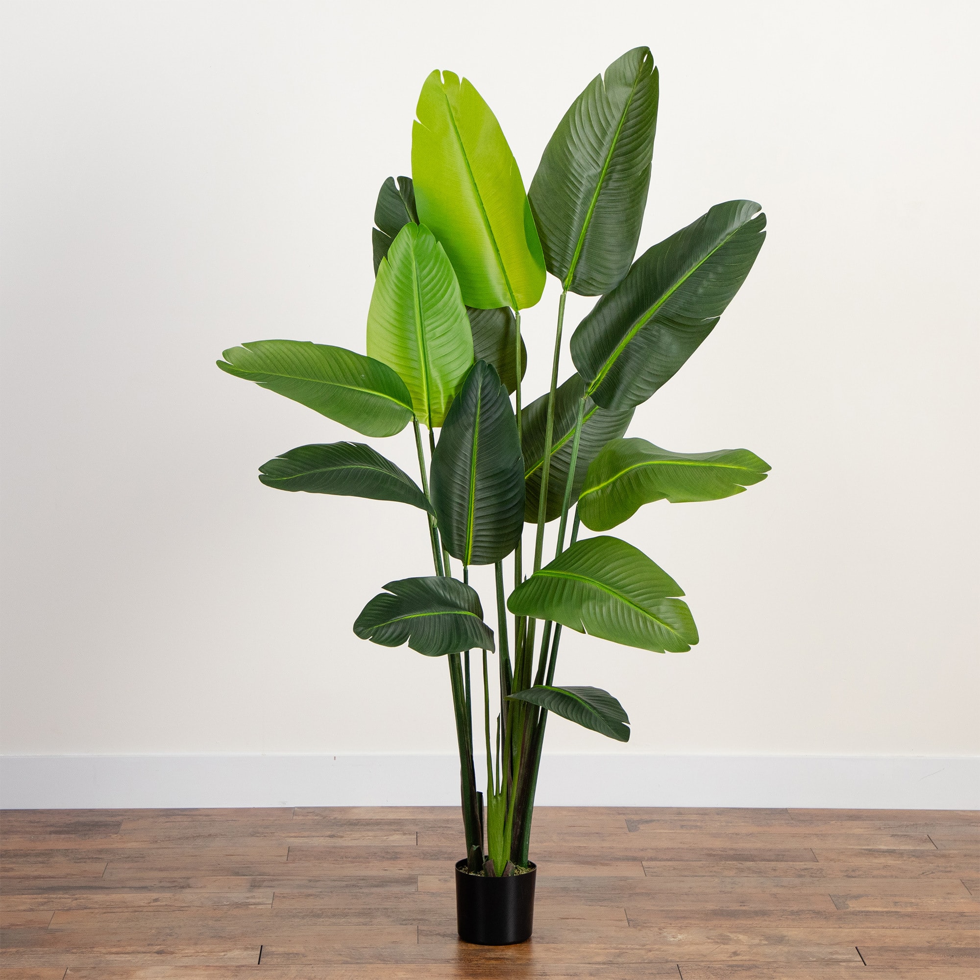 6ft. UV-Resistant Artificial Traveler's Palm Tree