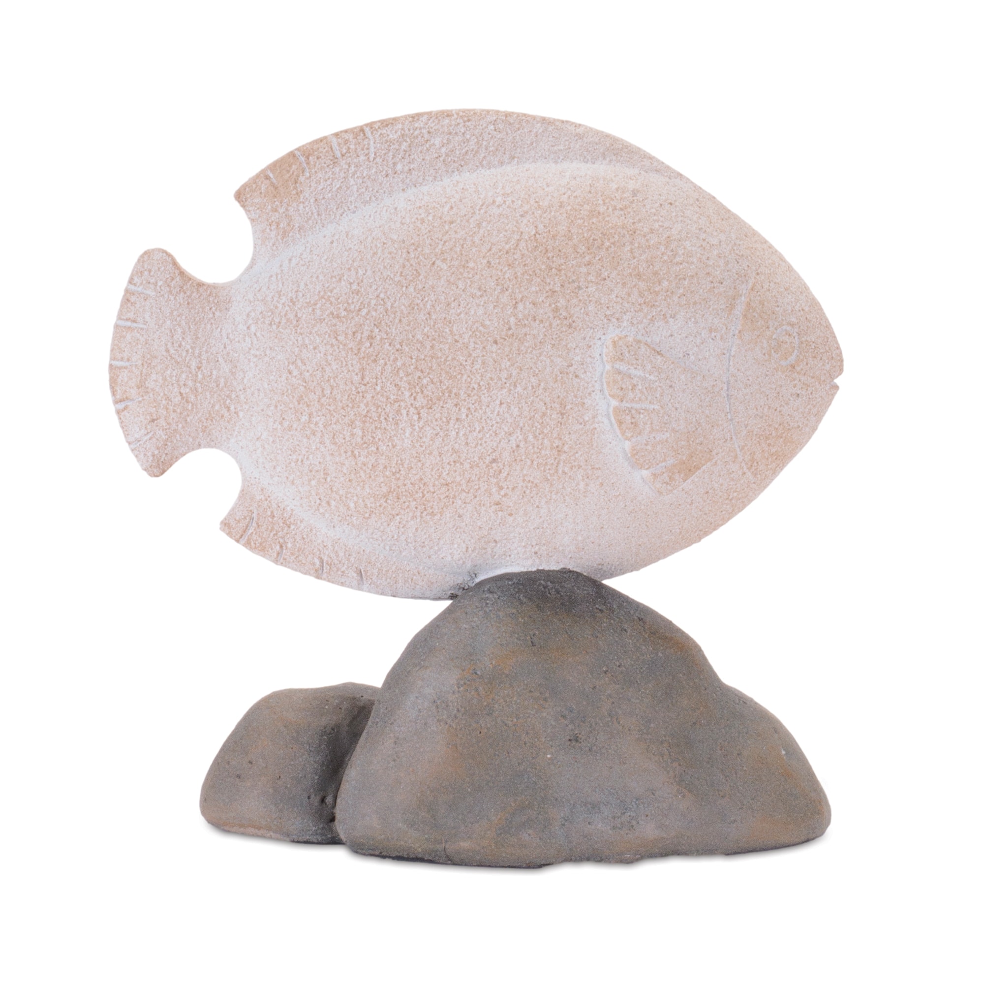 Fish on Rock Décor Set