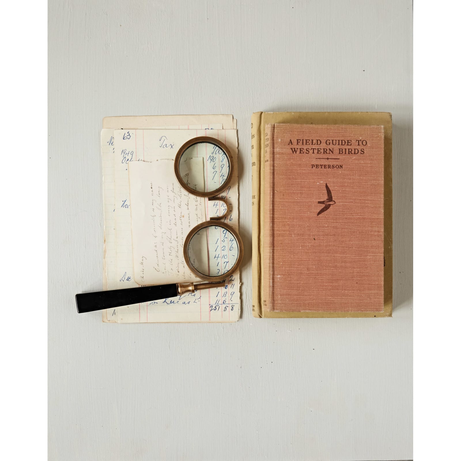 Hello Honey® Spectacle Magnifying Glass