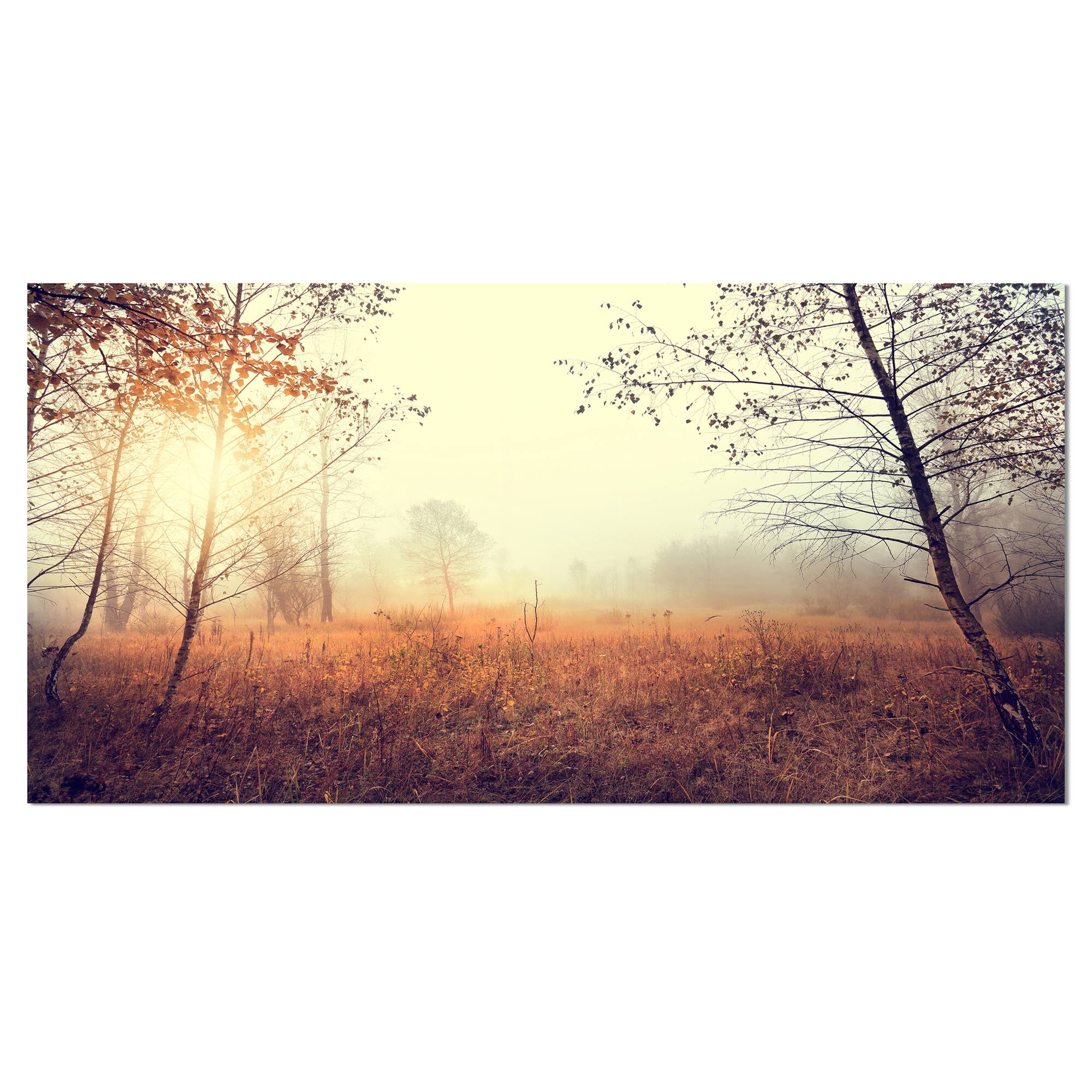 Designart - Charming Rural Field in Morning - Extra Large Wall Art Landscape