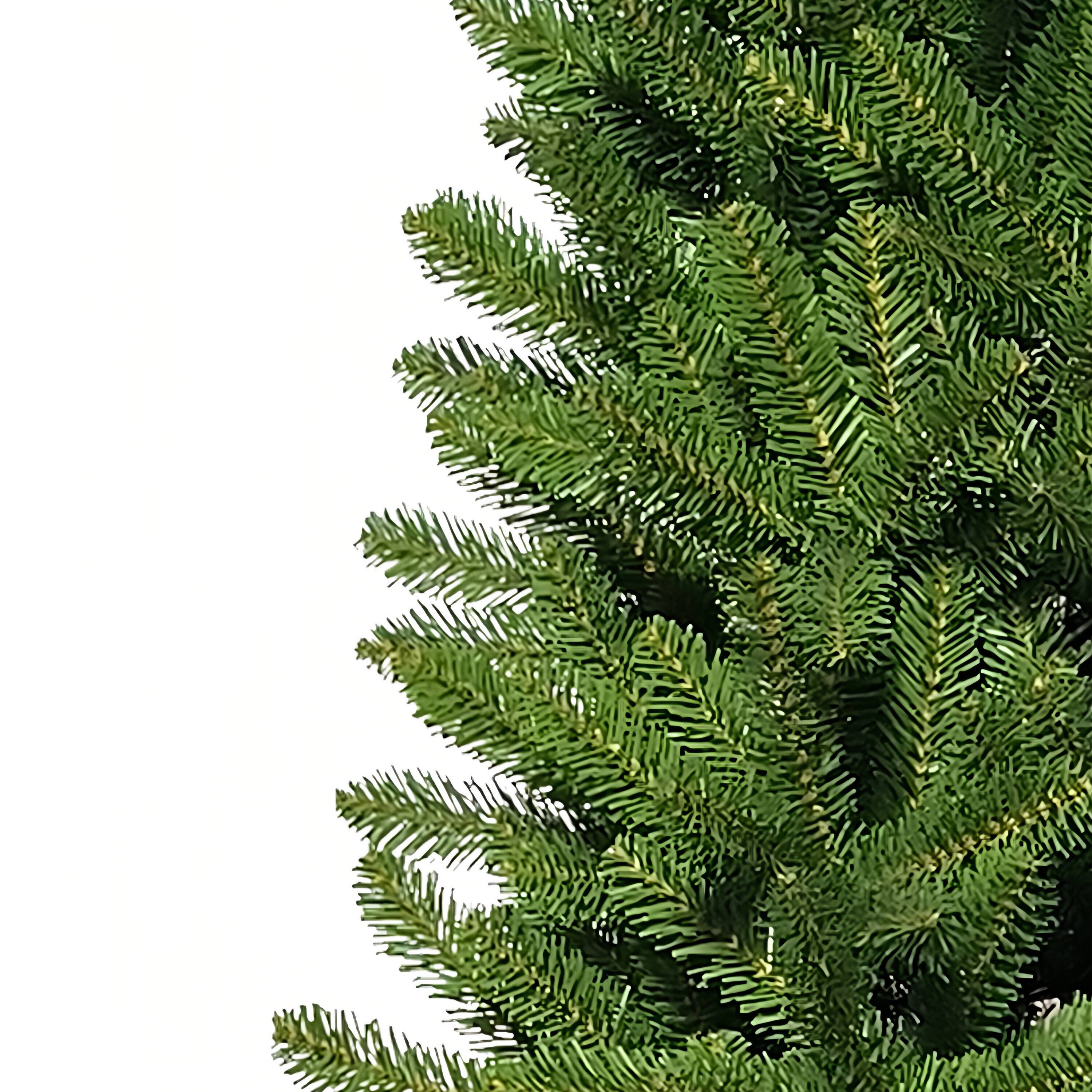 7ft. Unlit Washington Fir Artificial Christmas Tree