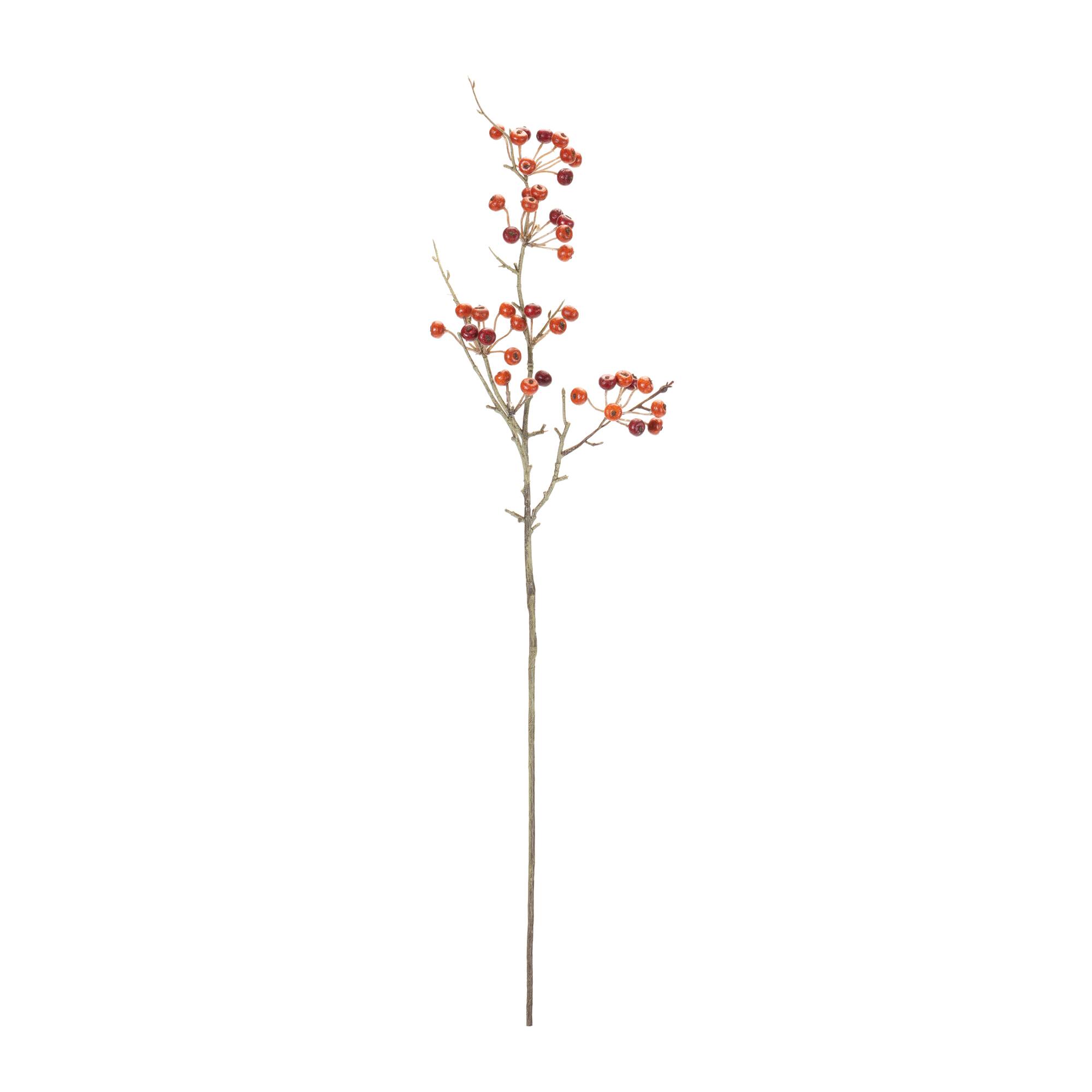 Michaels, Melrose 27.25" Red & Orange Berry Pod Sprays, 6ct. – Category: Stems