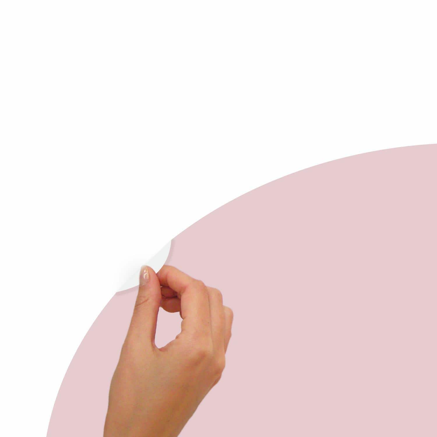 RoomMates Pink Blush Arch XL Peel & Stick Wall Decal