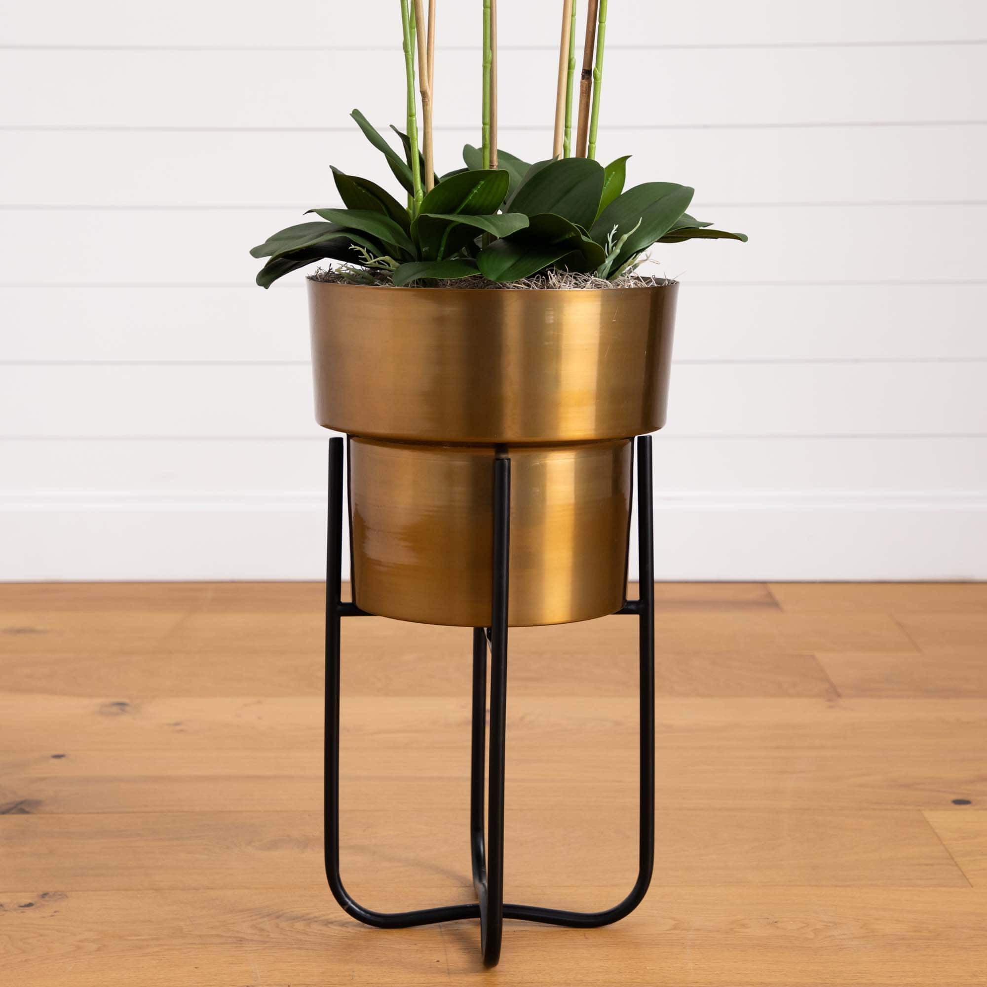 4ft. White Orchid Arrangement in Brass Metal Planter with Stand