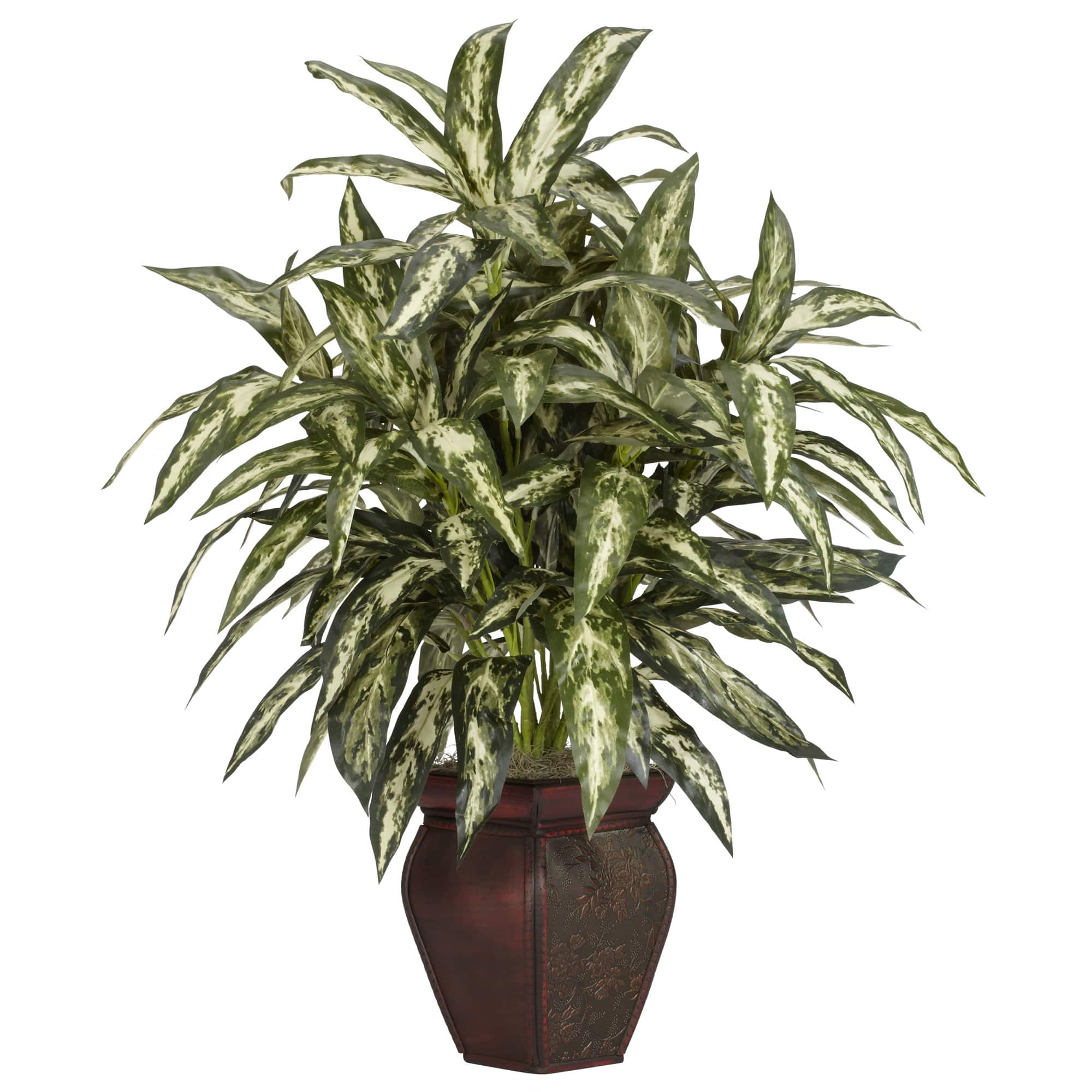 2.5ft. Chinese Evergreens in Decorative Vase