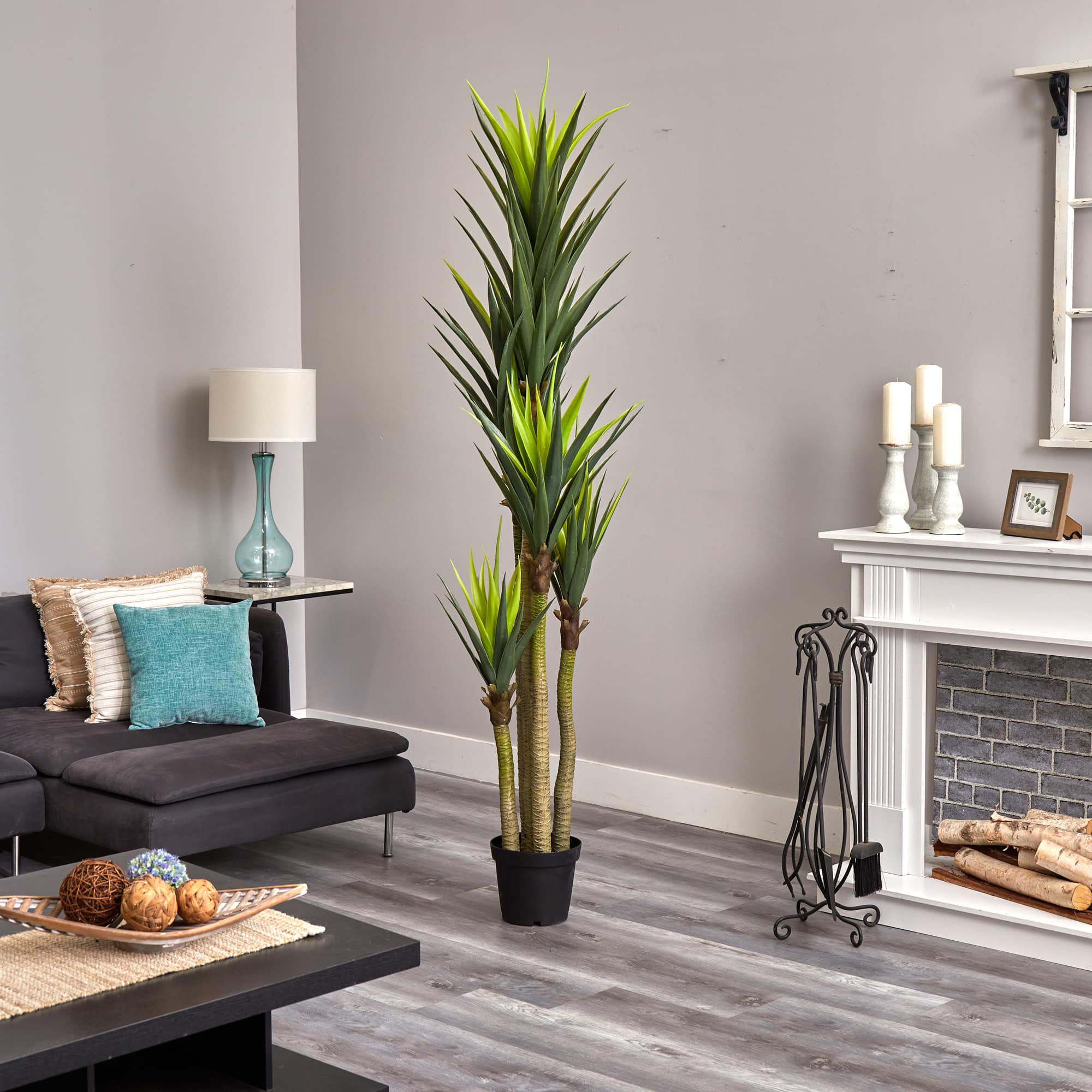7ft. Potted Dracaena Tree