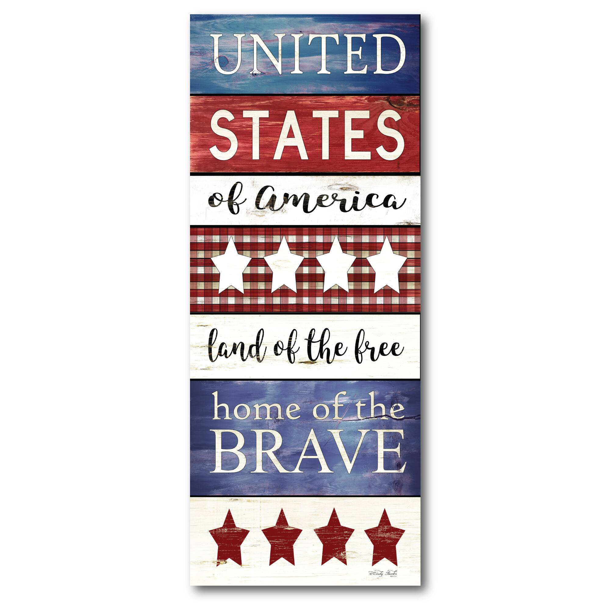 Courtside Market® Celebrate 250™ Wounded Warrior Project® United States Gallery-Wrapped Canvas Wall Art