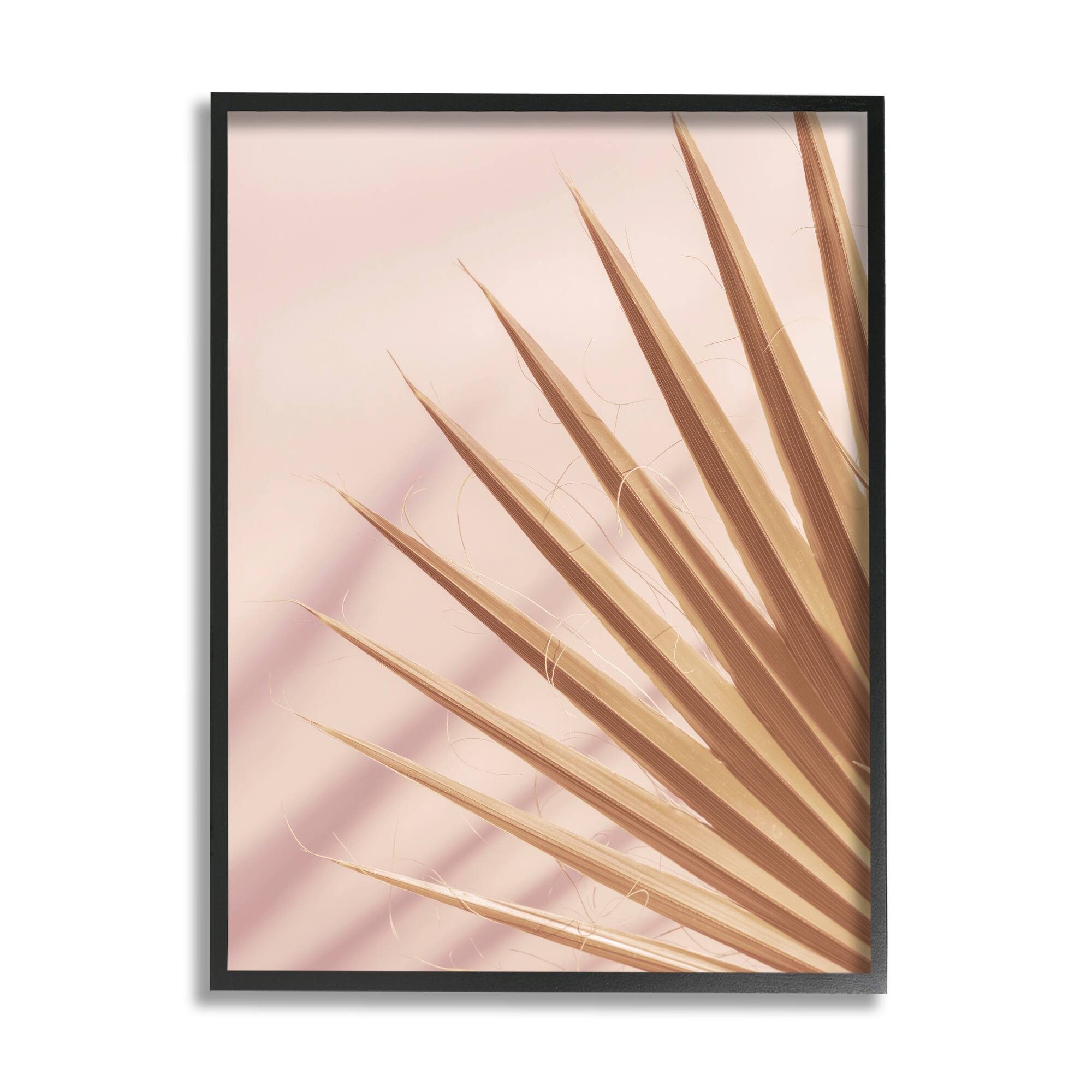 Stupell Industries Palm Frond Photograph Expressive Tropical Plant Sun Bleached Framed Wall Art