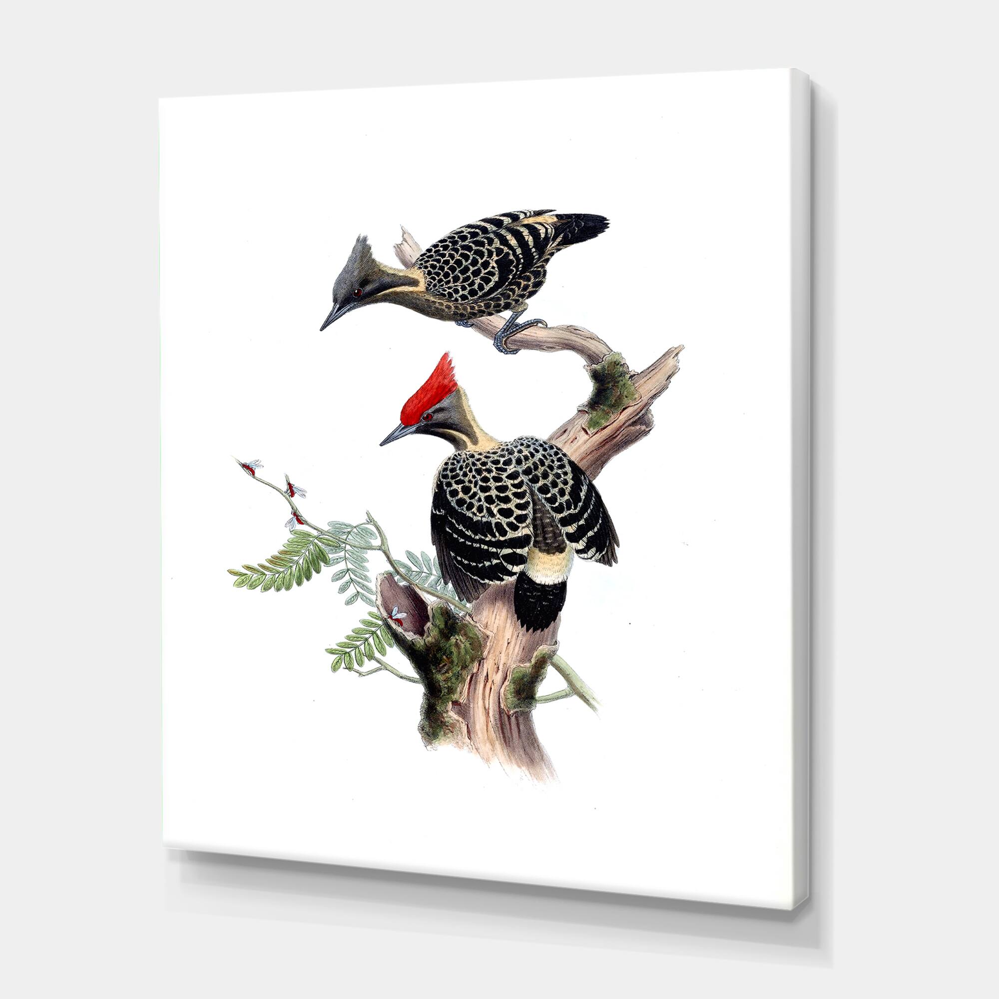 Designart - Vintage Birds In The Wild VI - Traditional Canvas Wall Art Print