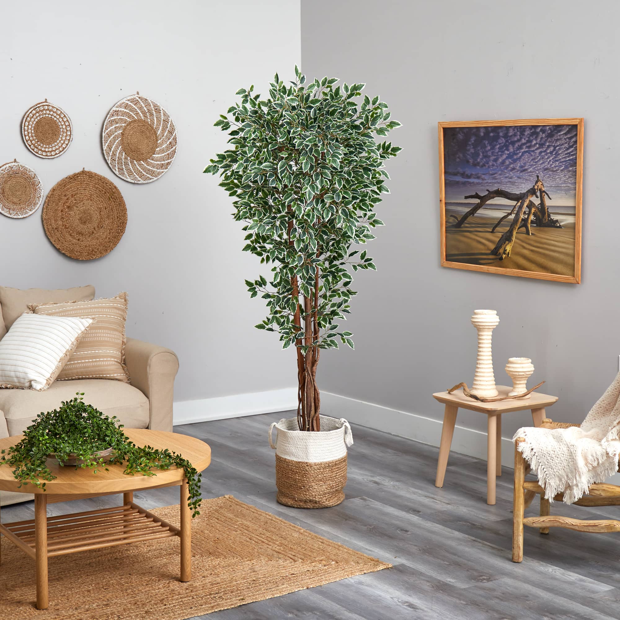 6ft. Variegated Ficus Tree in Handmade Natural Jute & Cotton Planter