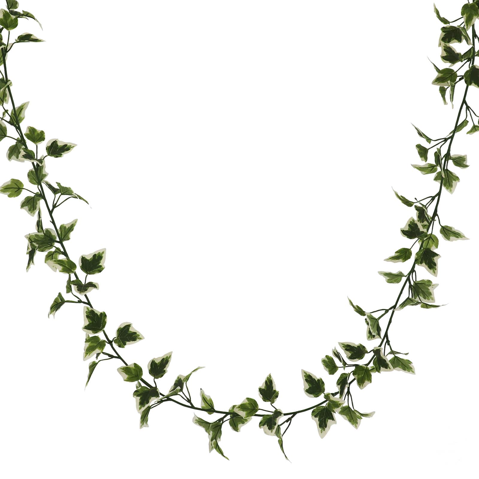 8 Pack: 6ft. Variegated Ivy Garland by Ashland®