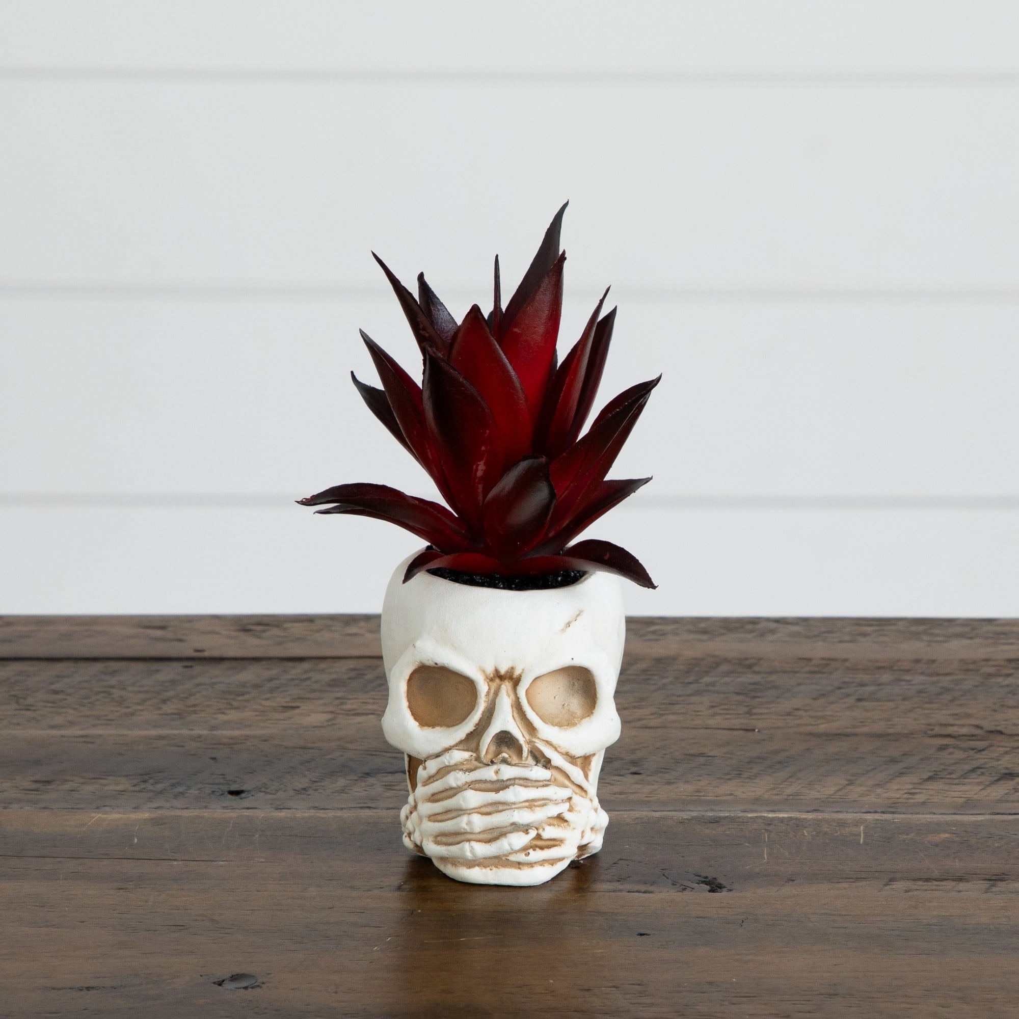 6" Artificial Halloween Speak, Hear, See No Evil Succulent Plant Skull Décor Set