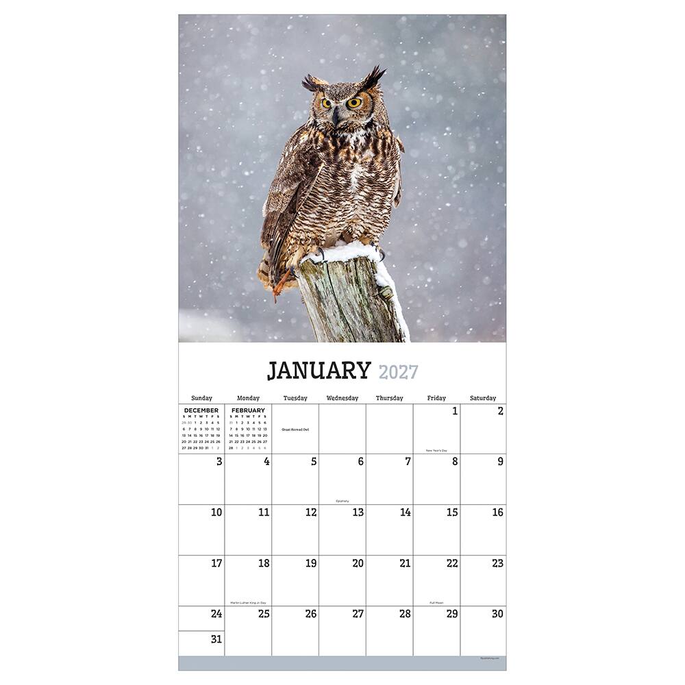 2027 Owls Wall Calendar