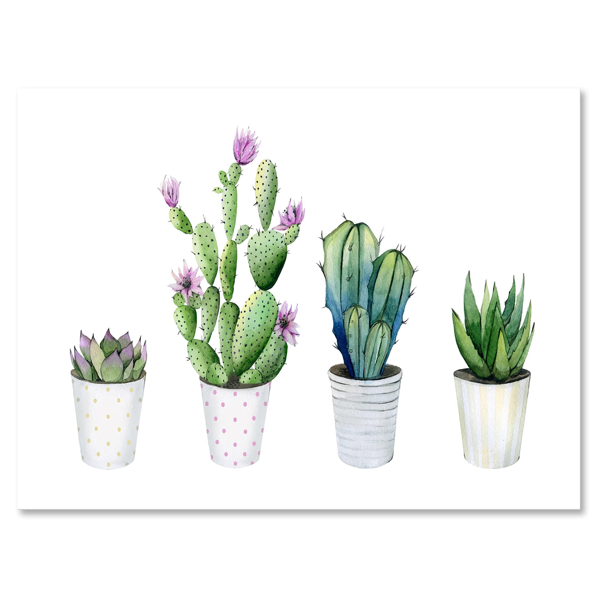 Designart - Cactus Succulent Aloe Vera Home Plants In The Pots