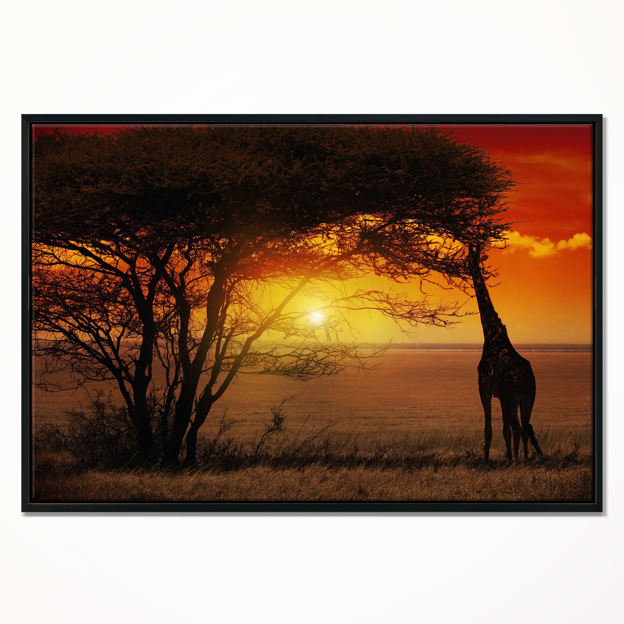 Designart - Typical African Sunset with Giraffe - Oversized African Landscape Framed Canvas Art
