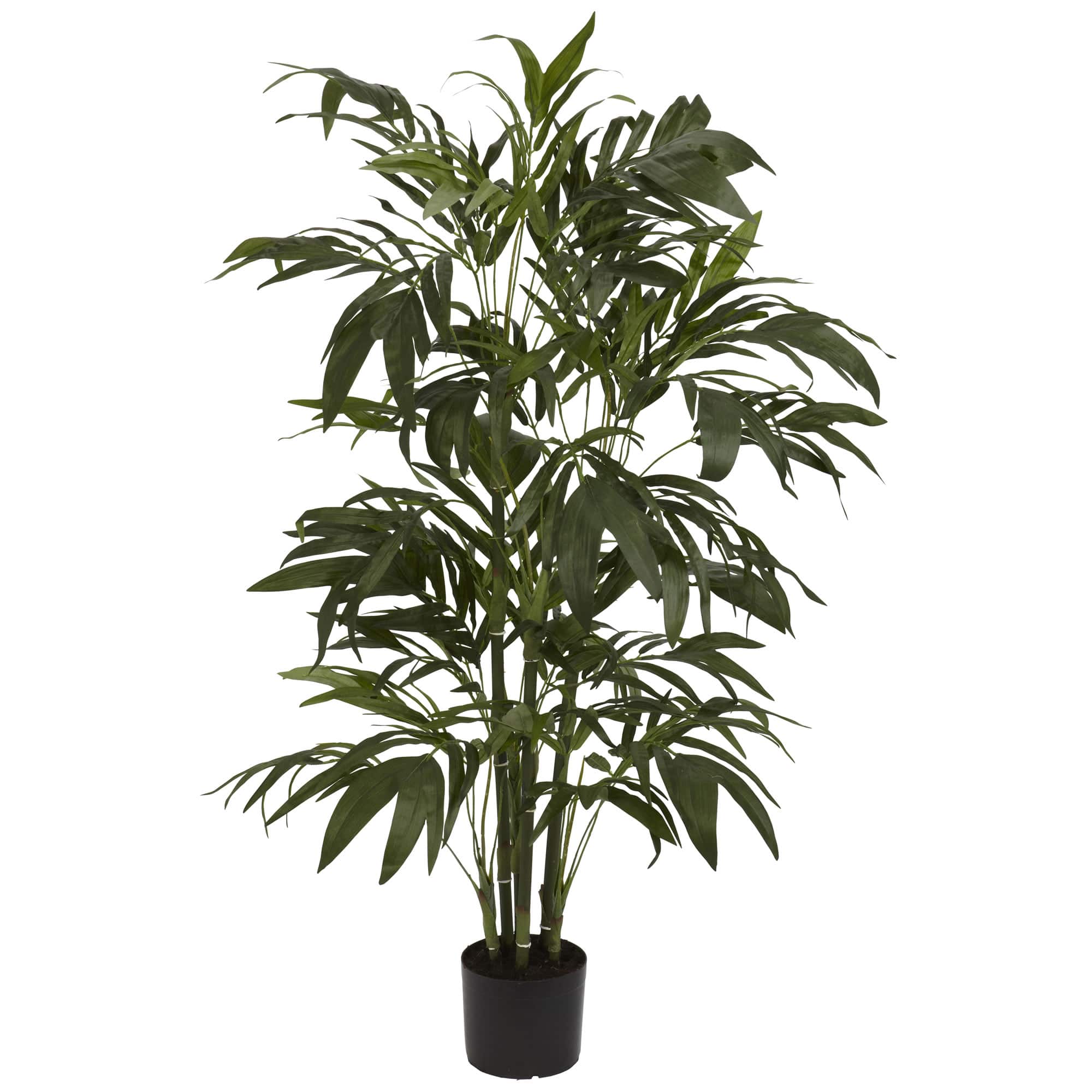 4ft. Potted Bamboo Palm Tree