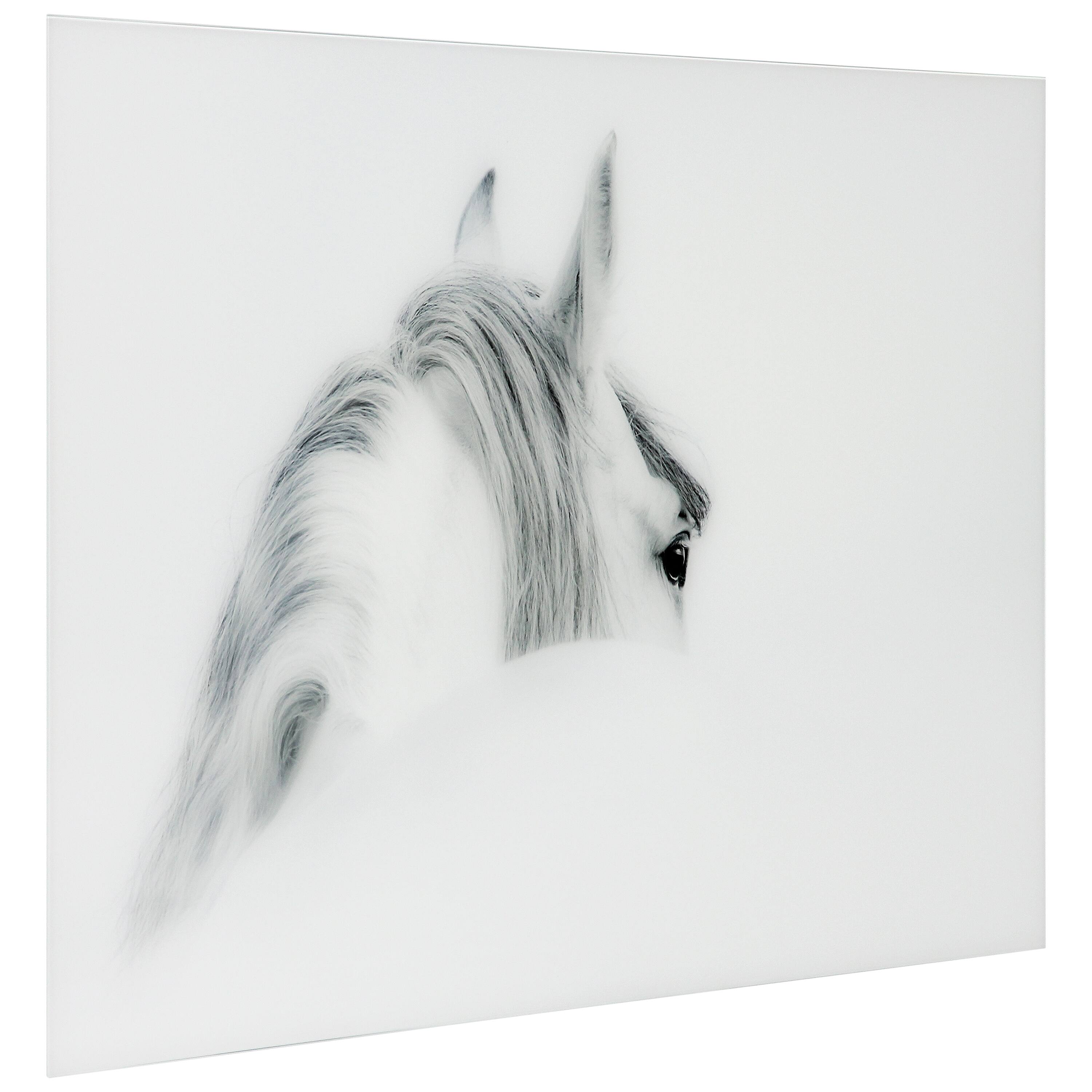 Empire Art Direct Vetro De Arte 48" x 32" Blanco Mare Horse Frameless Free Floating Printed Tempered Glass Wall Art