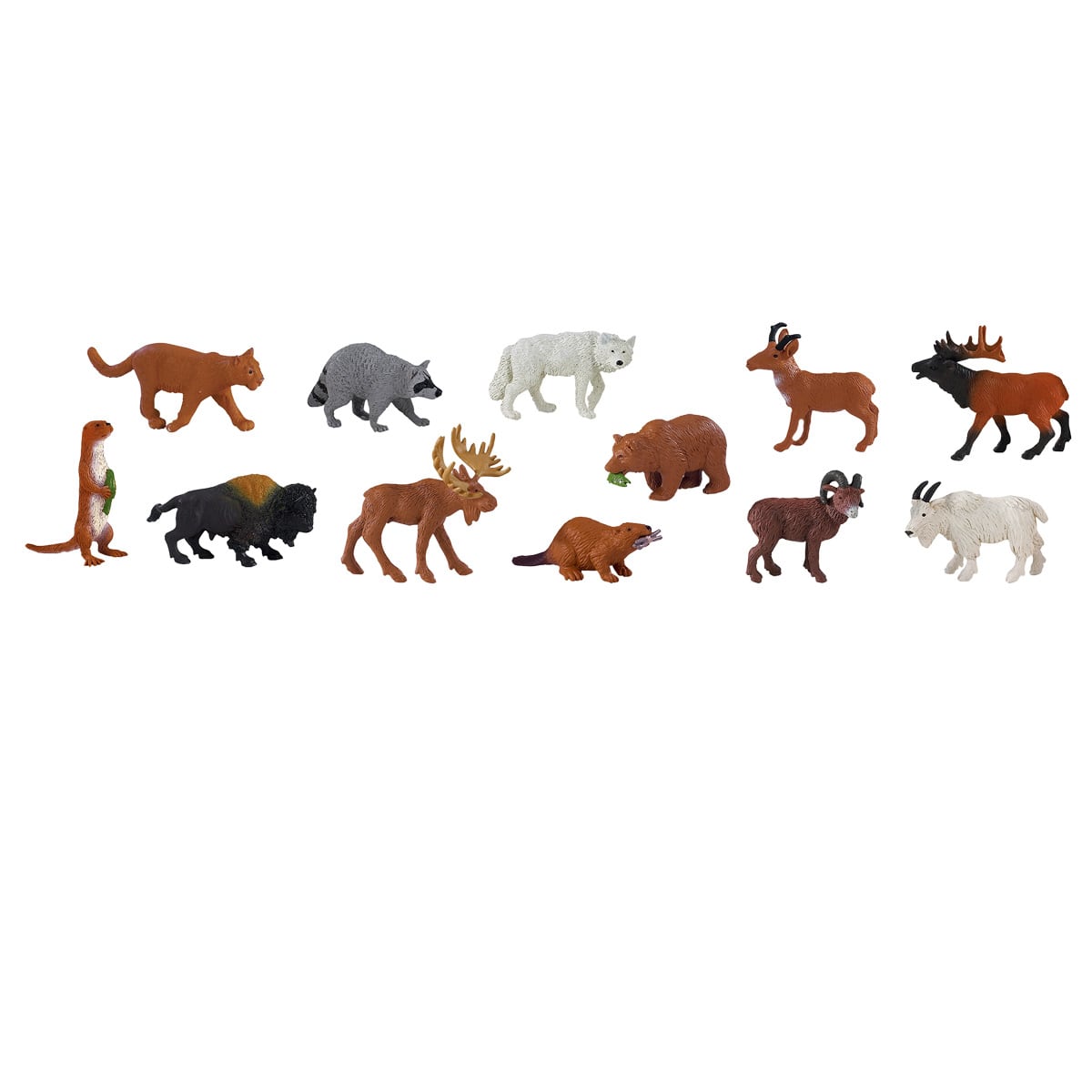 Animaux sauvages nord-américains TOOBS de Safari Ltd