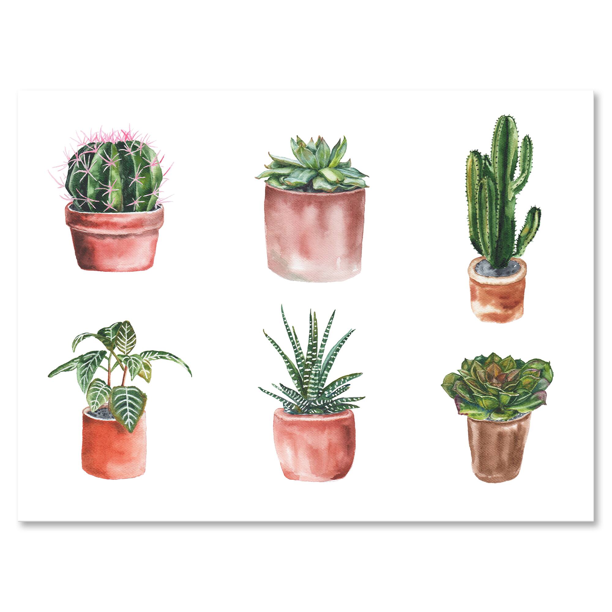Designart - Flowers In A Pot Cacti and Succulents