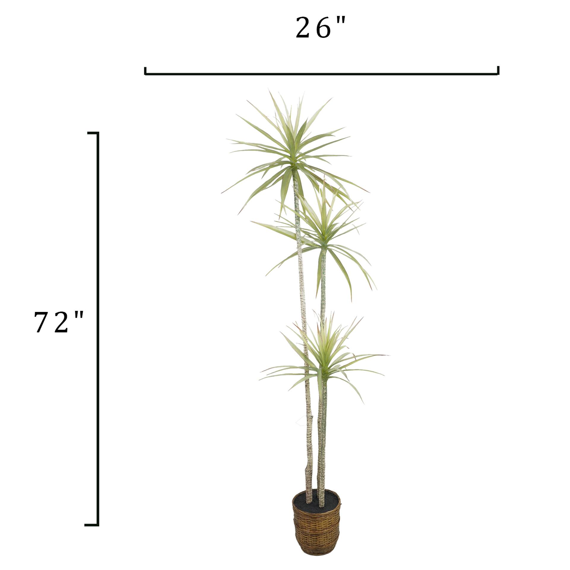 6ft. Yucca Faux Plant in Woven Basket by Ashland®
